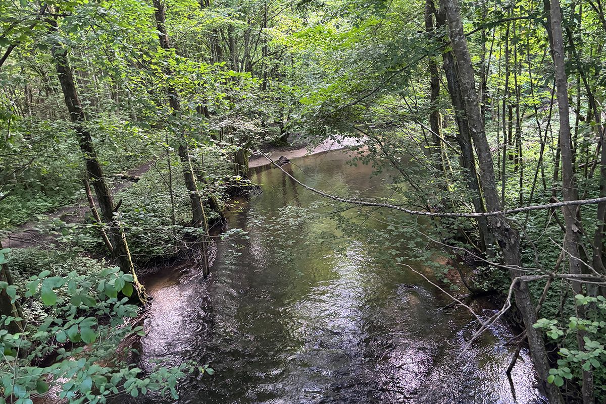 Trasy spływów kajakowych Radunią