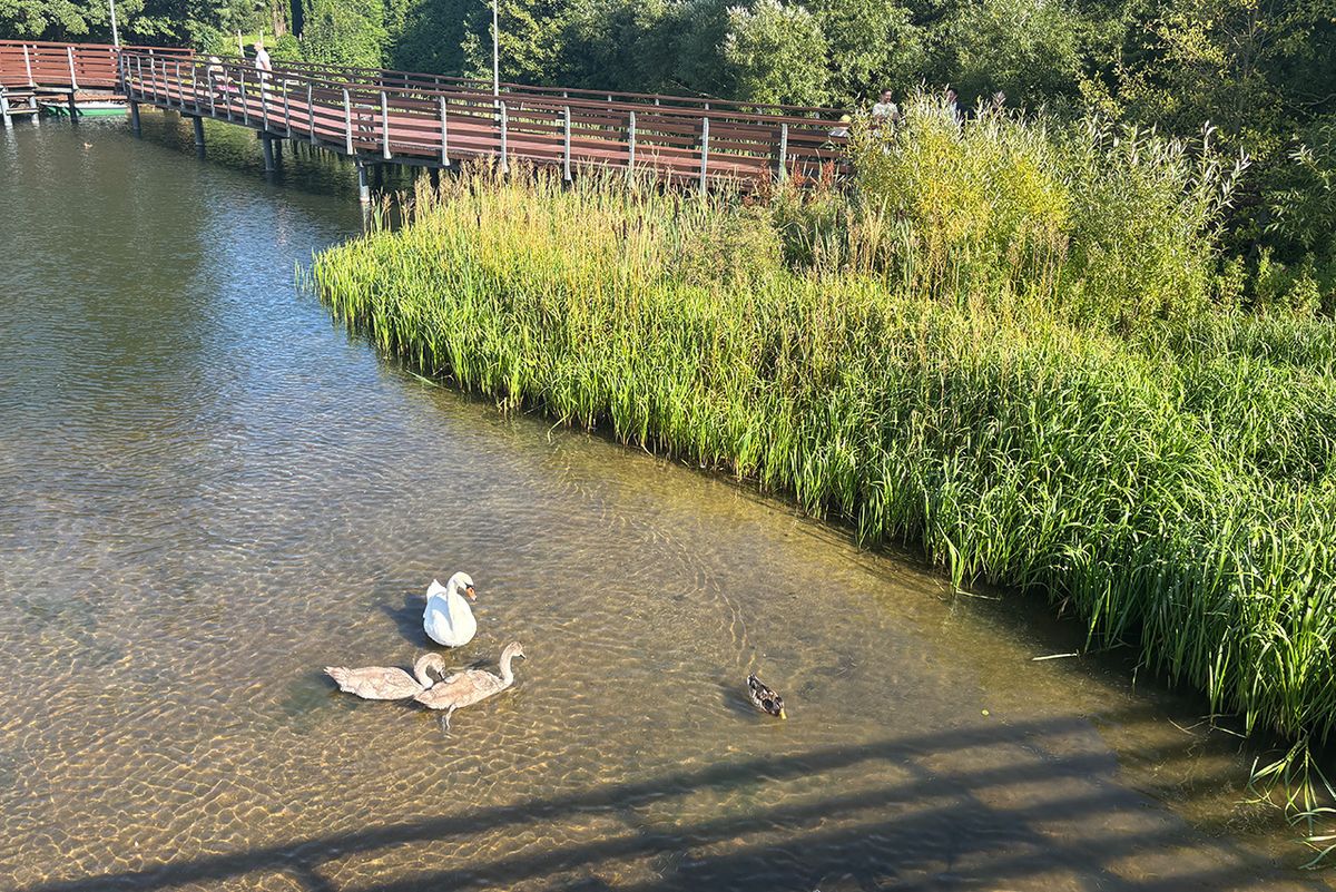 Jezioro Raduńskie w Stężycy na Kaszubach