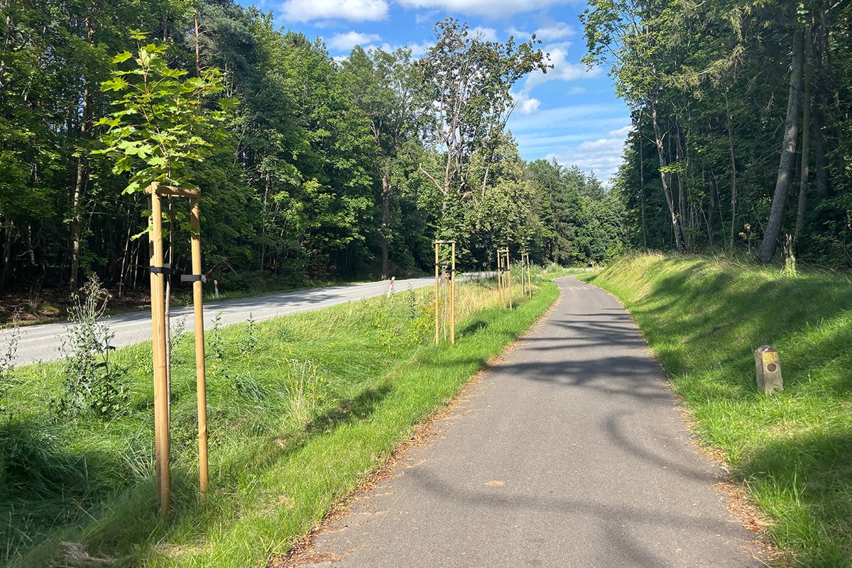 Drogi rowerowe na Kaszubach
