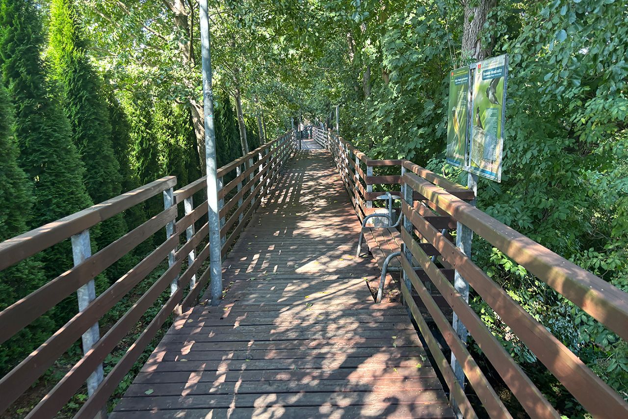 Drewniana promenada na Kaszubach