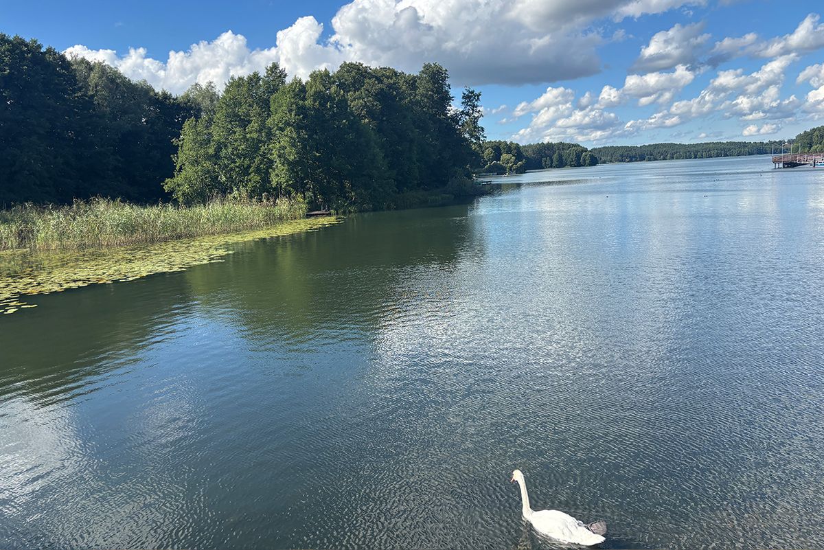 Jezioro Raduńskie Górne na Kaszubach - raj dla wędkarzy