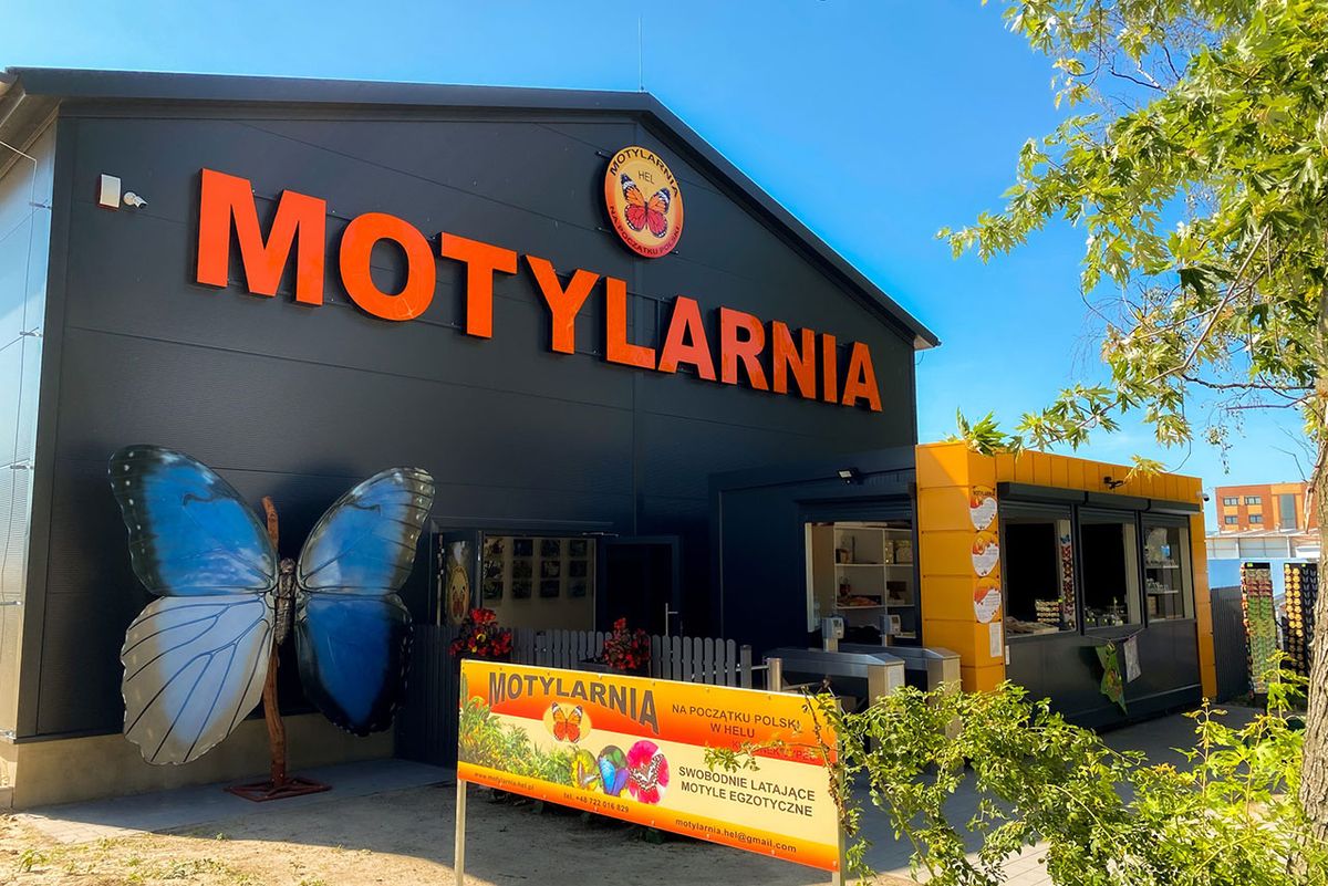 Motylarnia na Helu