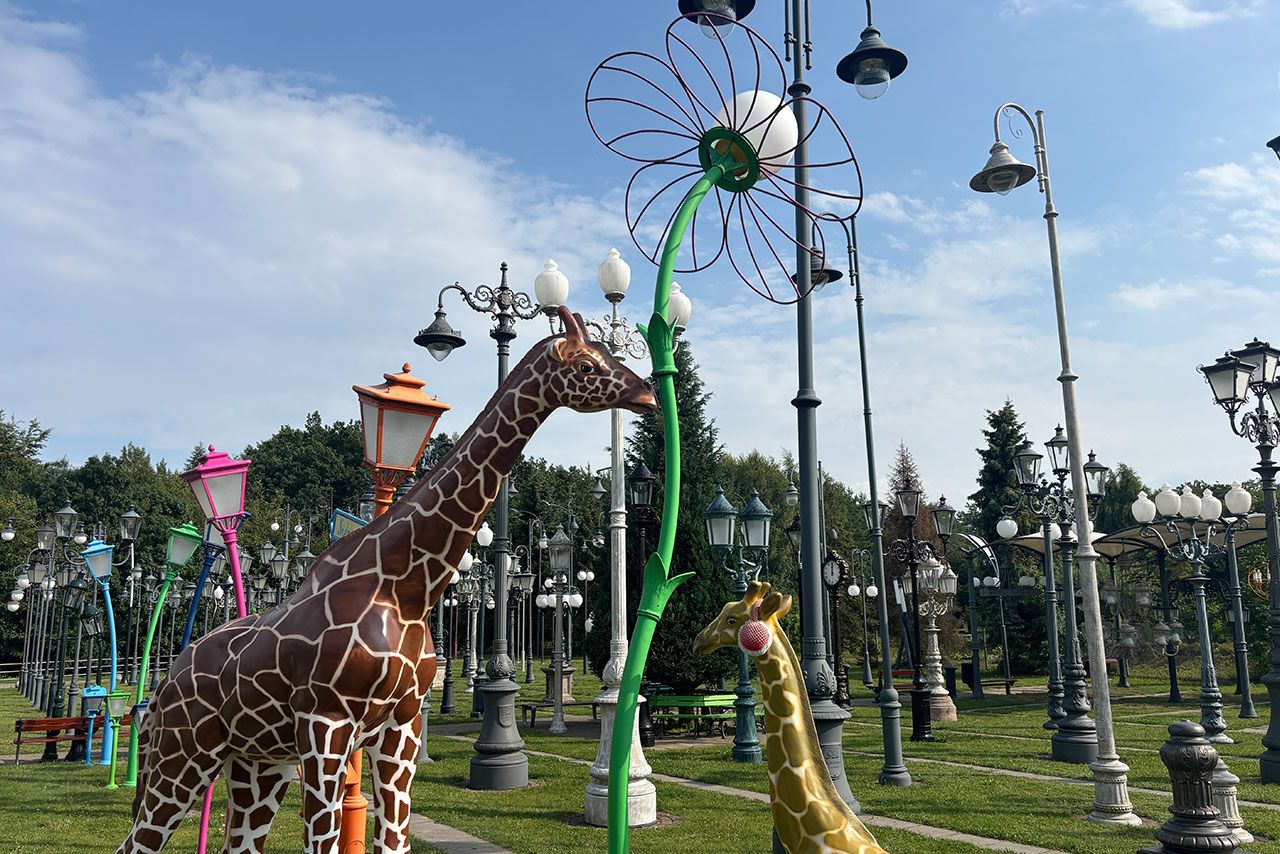 Las Lamp w Łapinie - nietypowa atrakcja na Kaszubach dla dzieci.