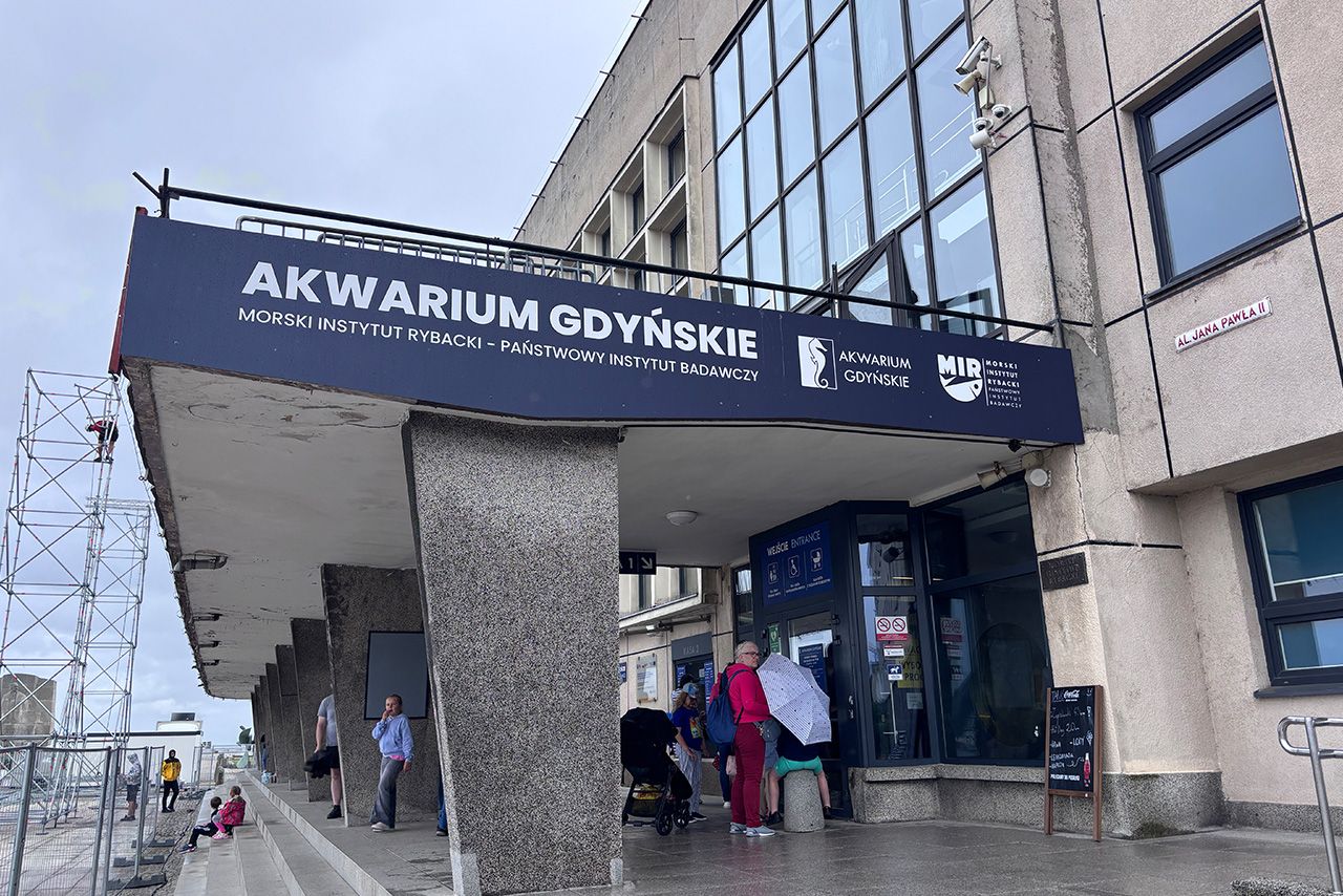 Akwarium Gdyńskie