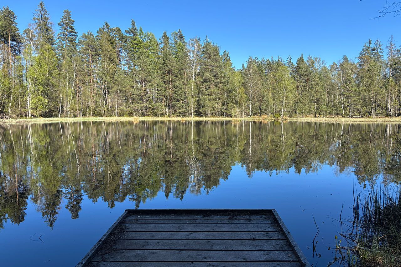 Jeziorko w jednym z kartuskich lasów (od wschodu)