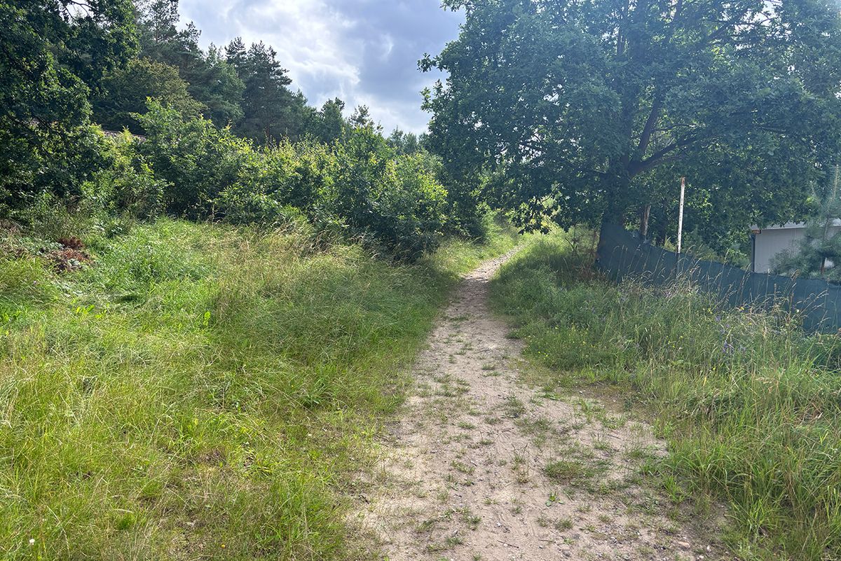 Tutaj wchodzisz na ścieżkę w kierunku mostu kolejowego w Rutkach.