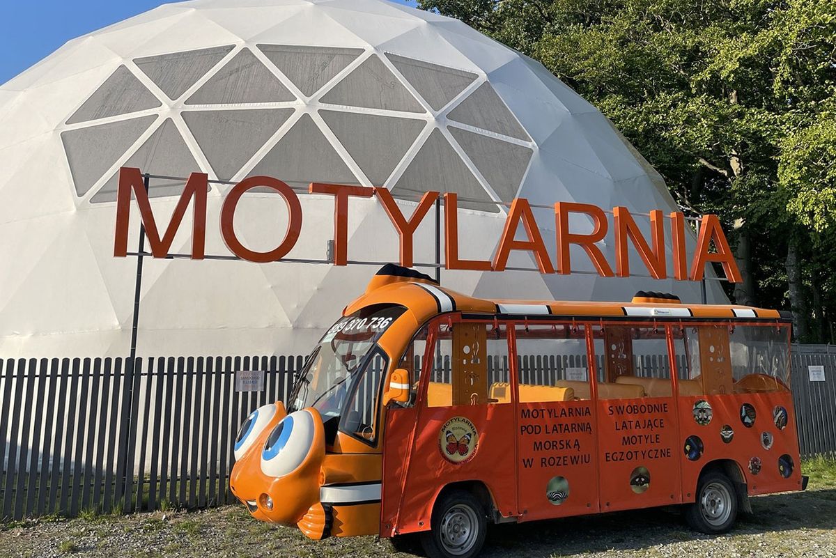 Motylarnia Rozewie