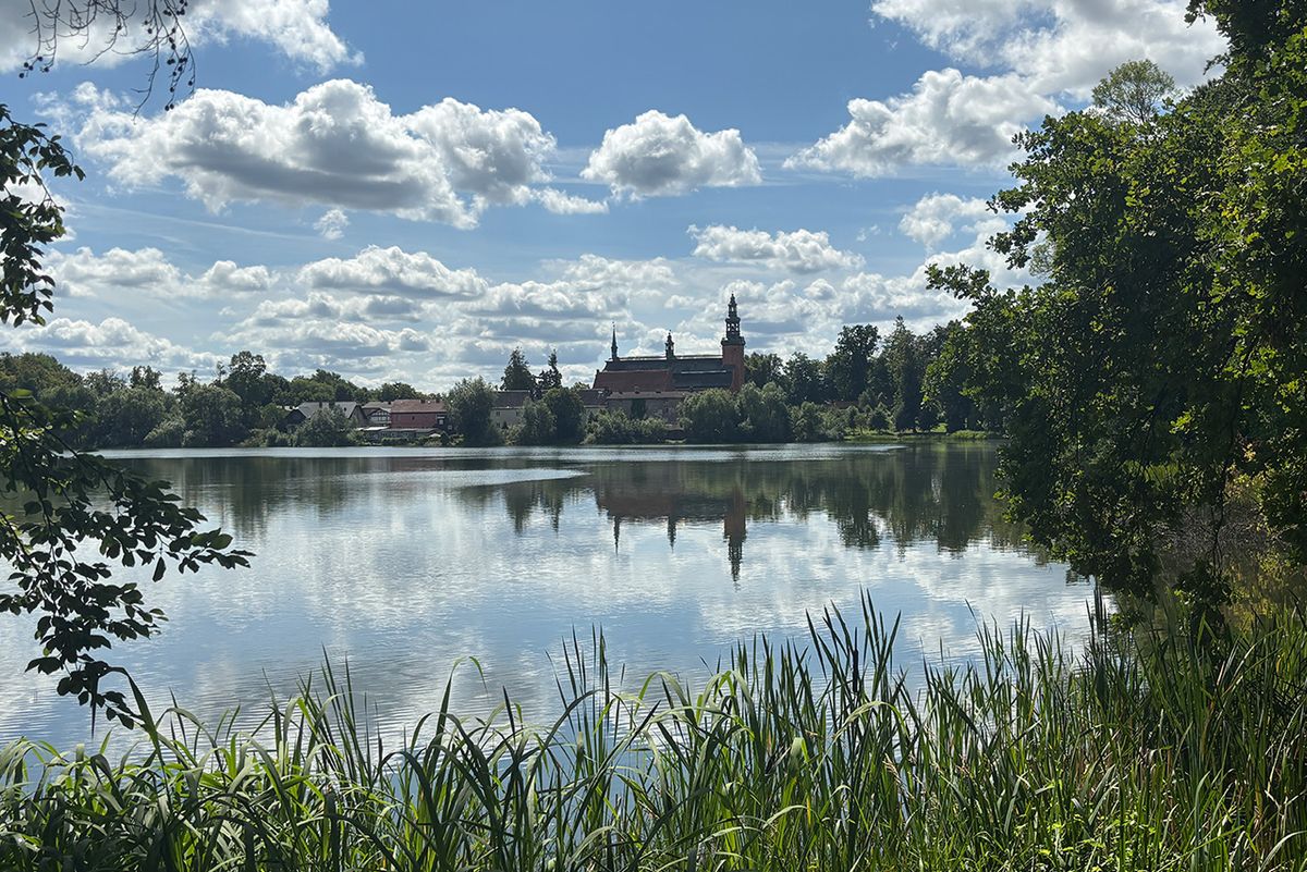 Widok na Kolegiatę z Aleji Filozofów w Kartuzach