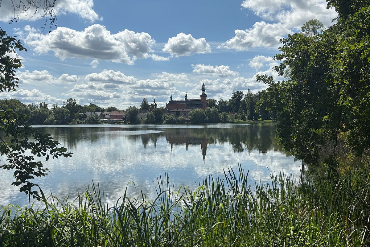 Widok na Kolegiatę z Aleji Filozofów - Kartuzy