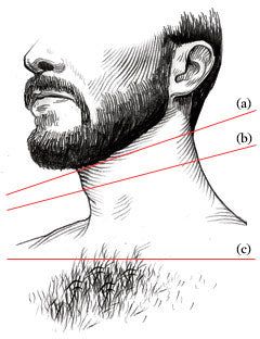 GROW A BEARD