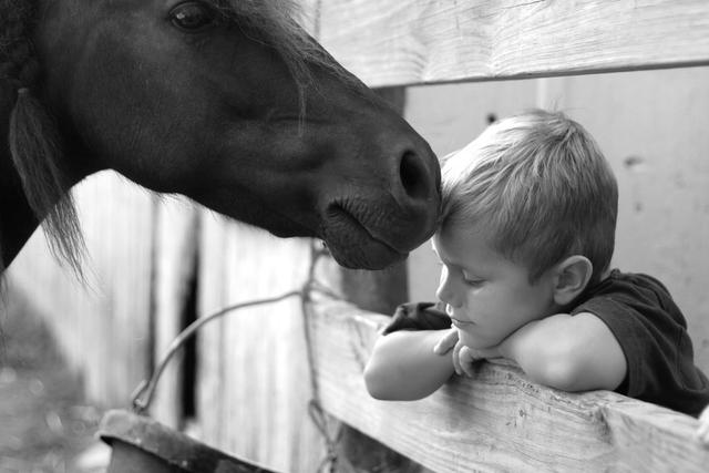 Hippotherapy
