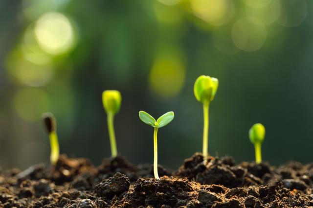 Bristol Neurophysio is growing!