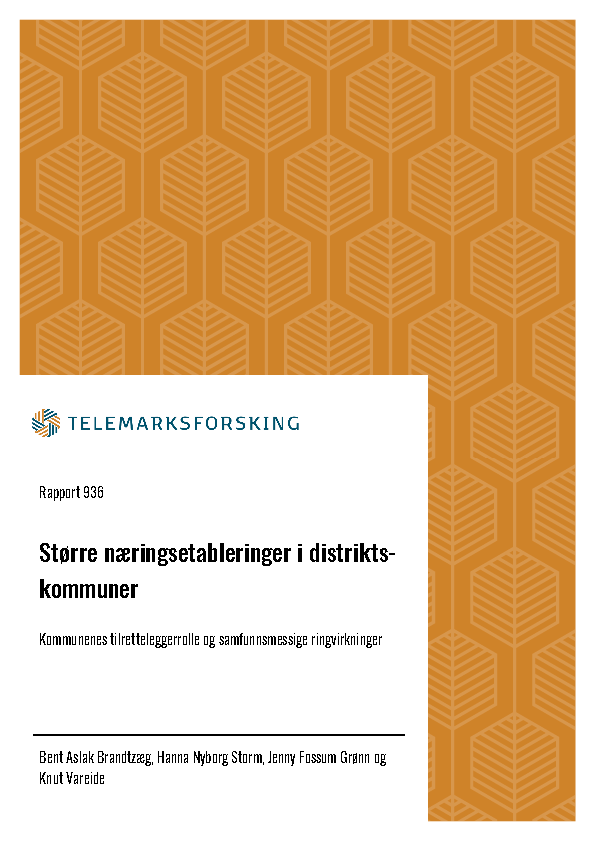 Nøytral rapportframside med tittelen Tiltak for velfungerende leiemarkeder i distriktskommuner