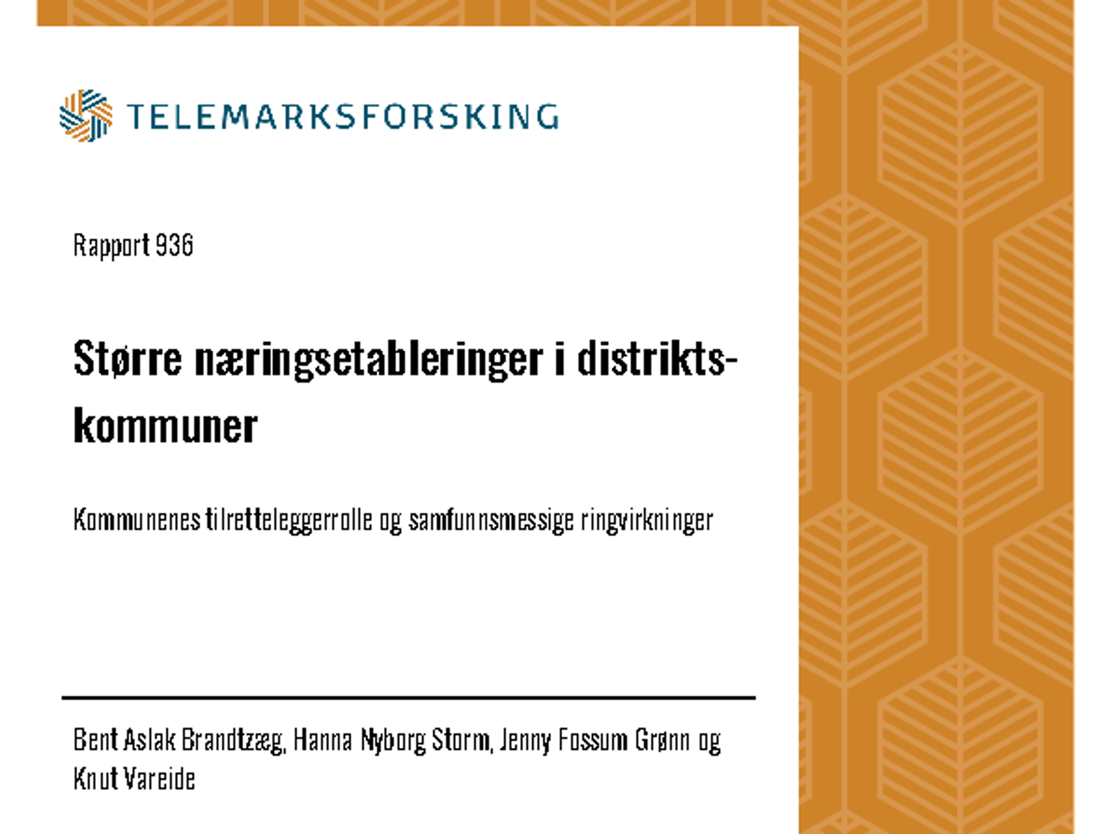 Nøytral rapportframside med tittelen Tiltak for velfungerende leiemarkeder i distriktskommuner