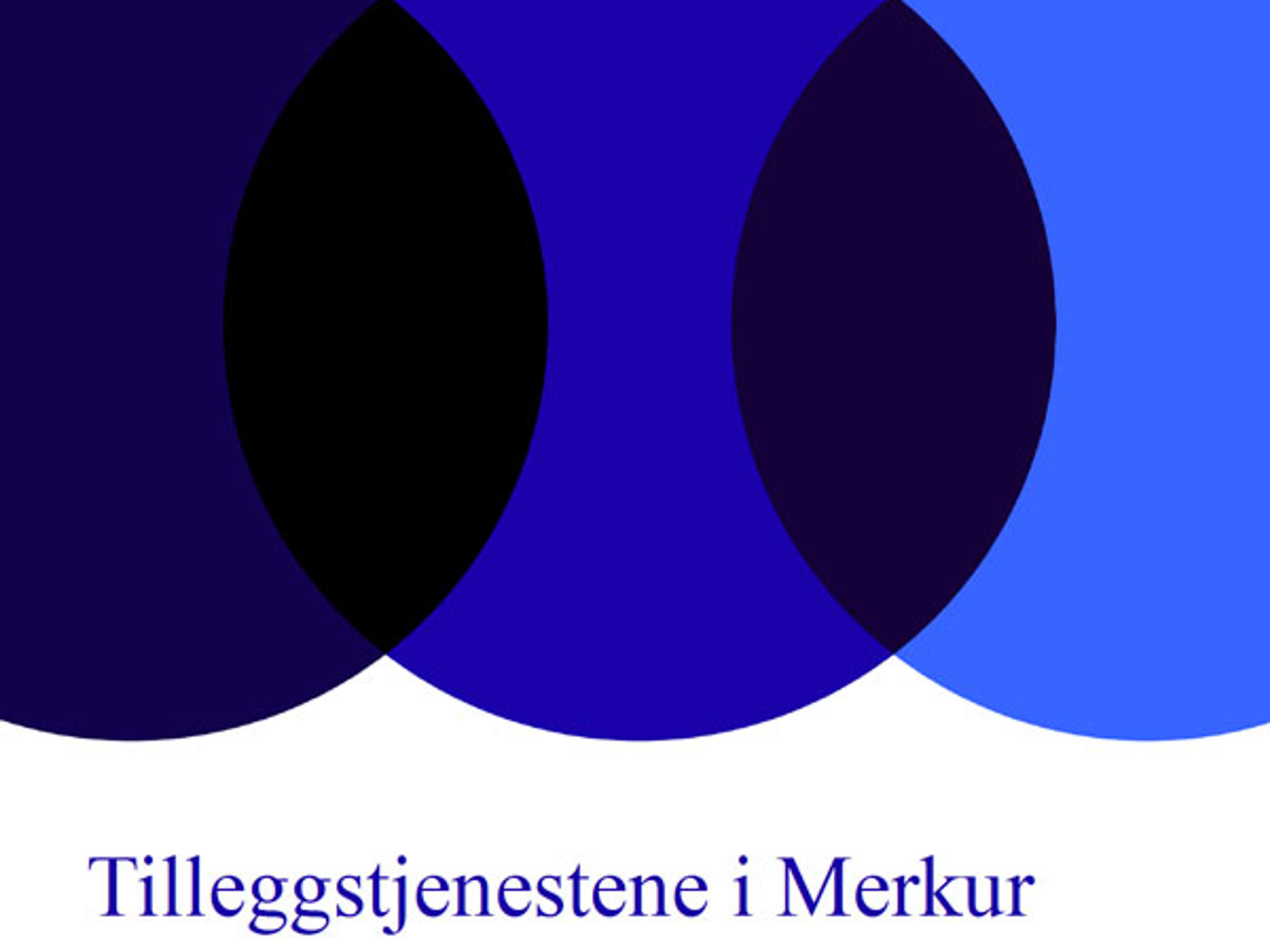 Forside rapport