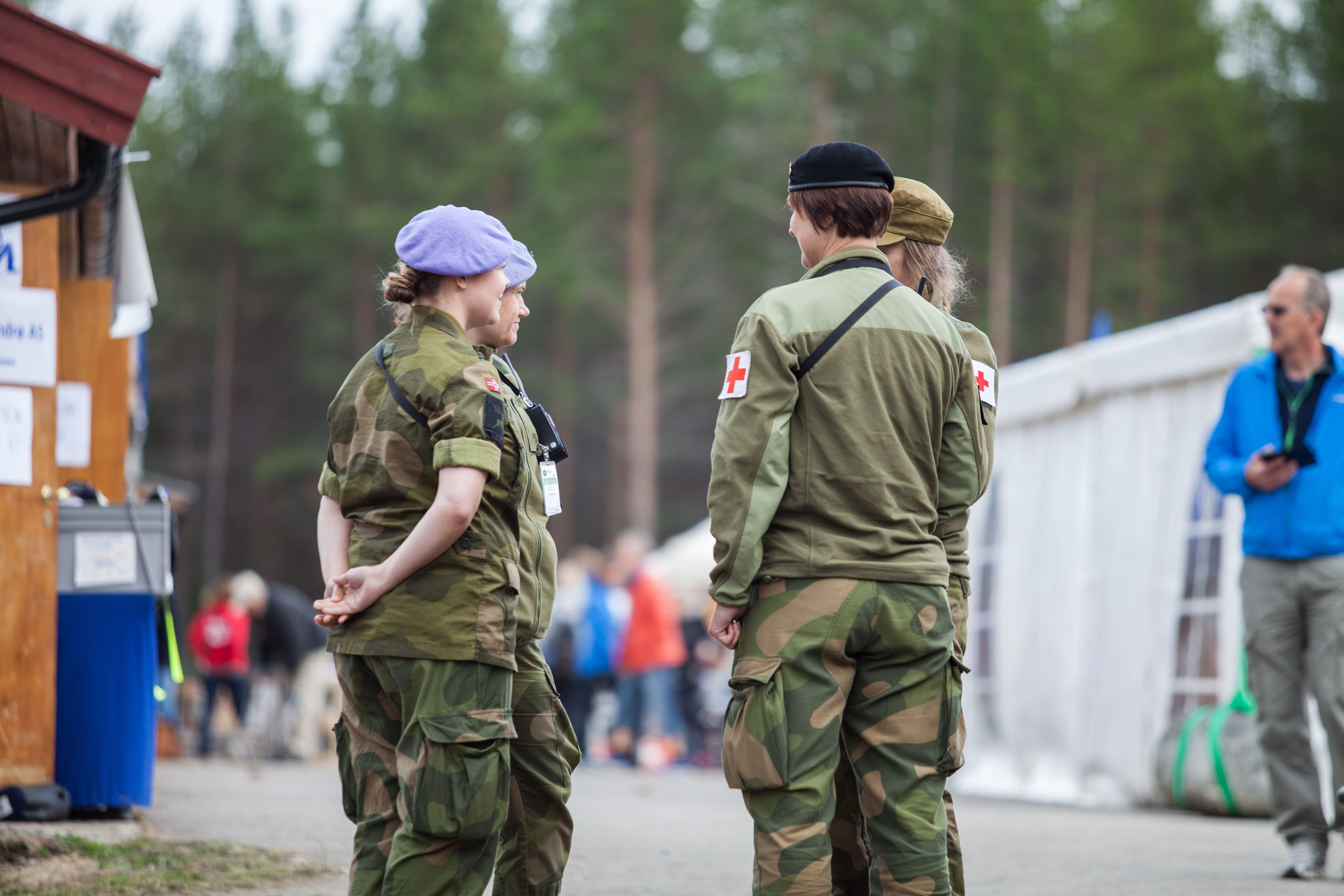 Forsvaret i komite