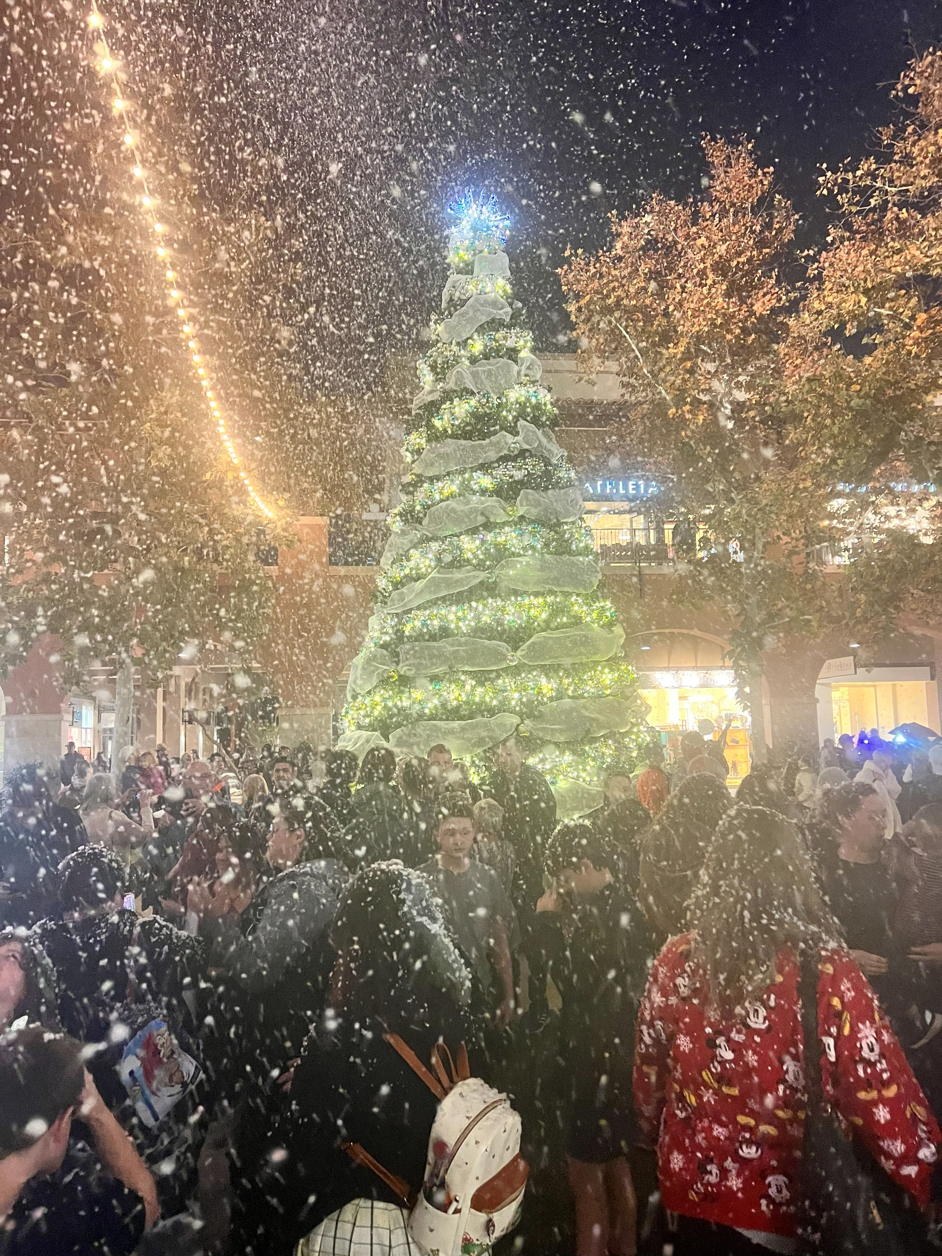 A crowd gathers around a lit holiday tree as snow falls during a tree lighting at night