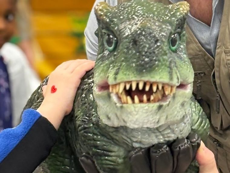 A child pats a dark green lifelike baby T. rex