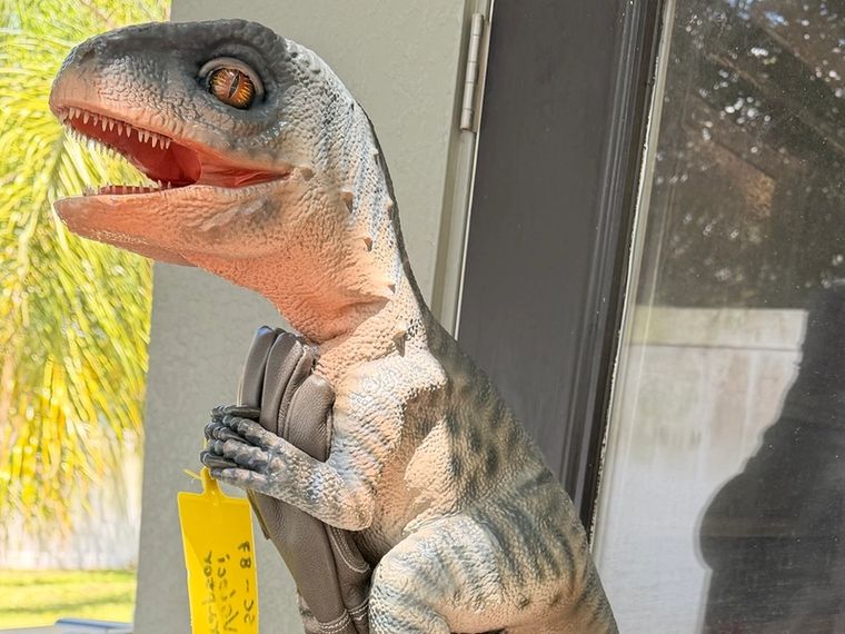 A lifelike baby velociraptor shows its teeth