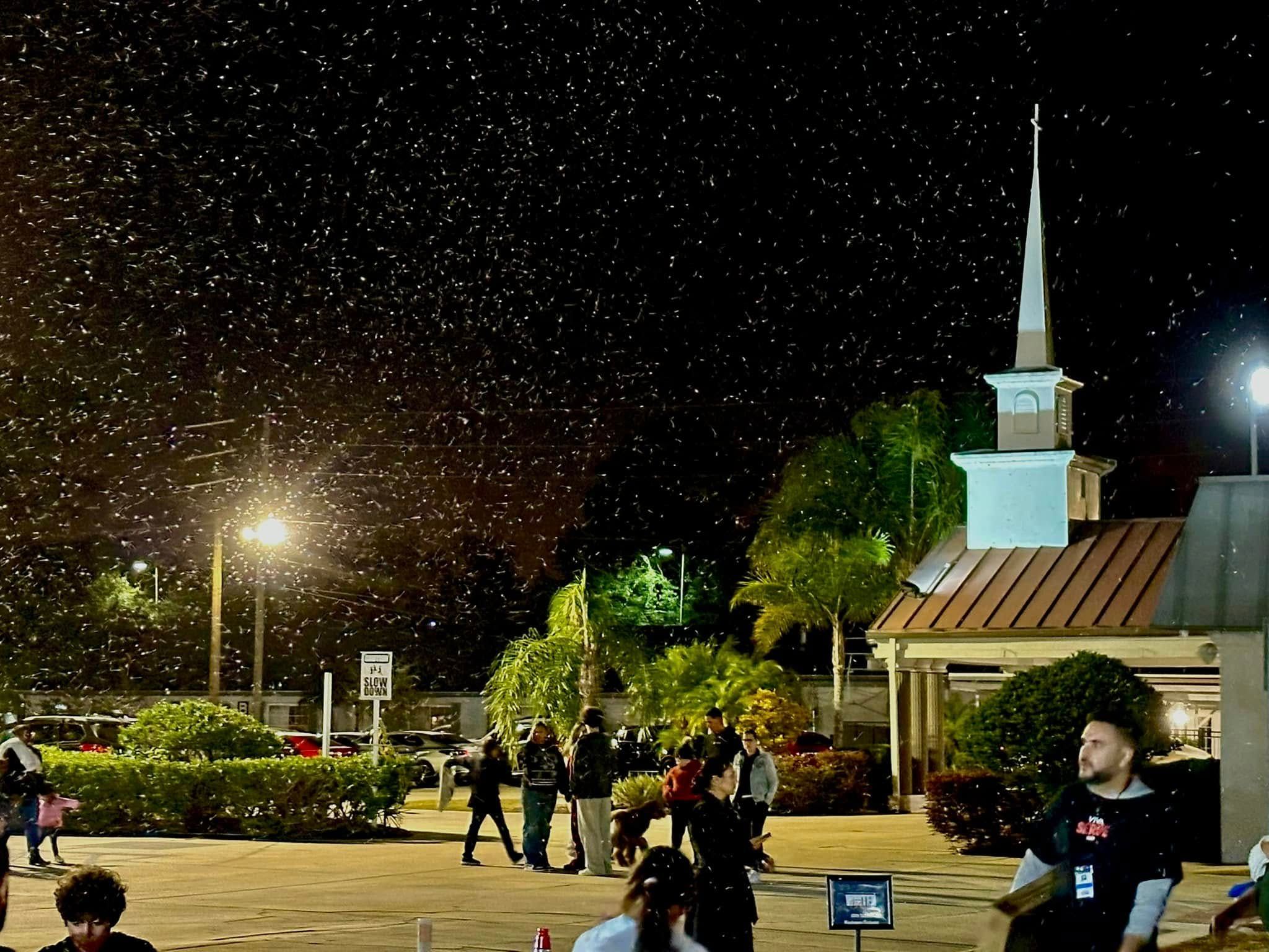 Snow falls through the night sky over a parking lot beside a white steeple at a holiday event
