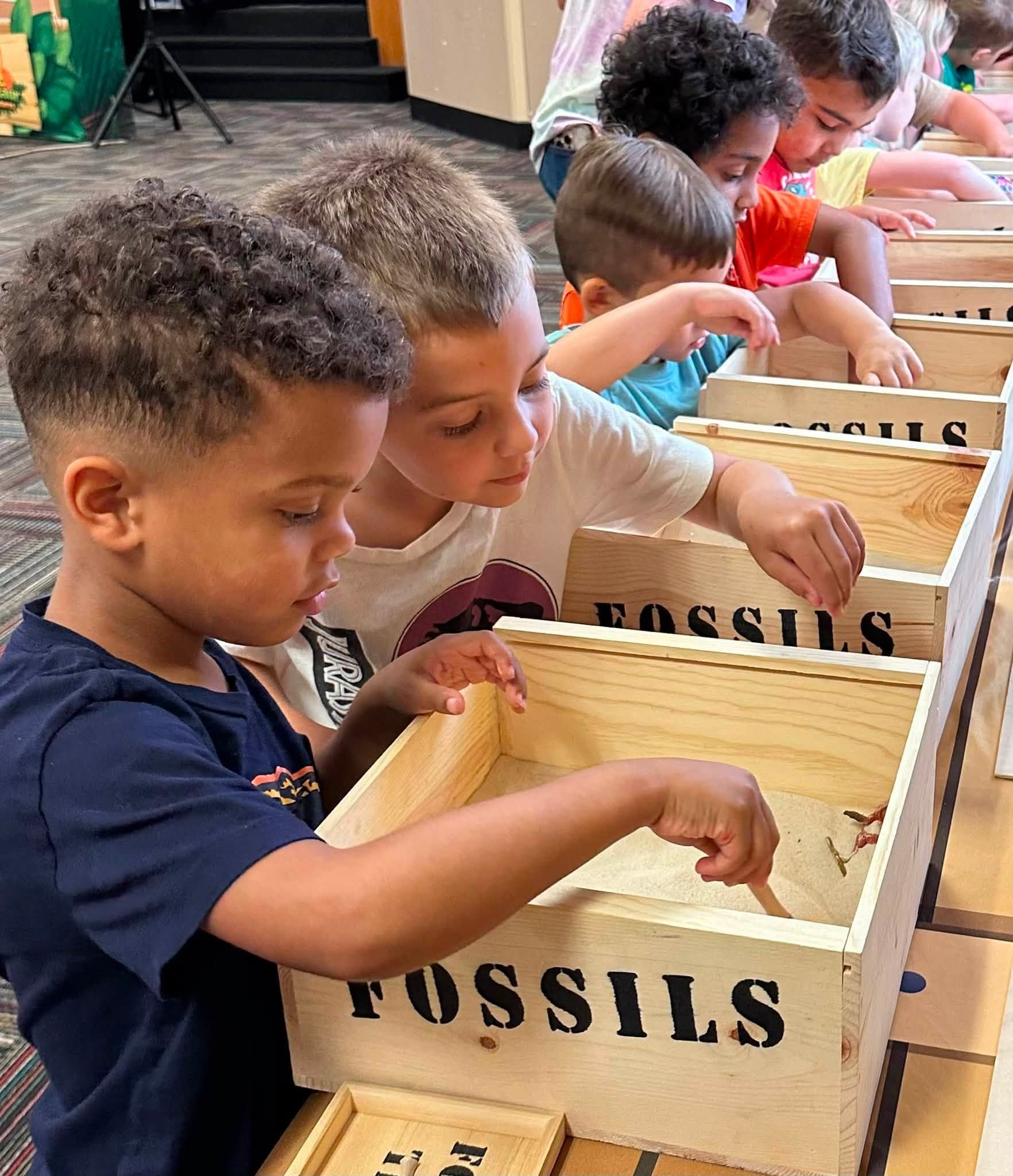 Kids brush through the sand of a fossil dig box