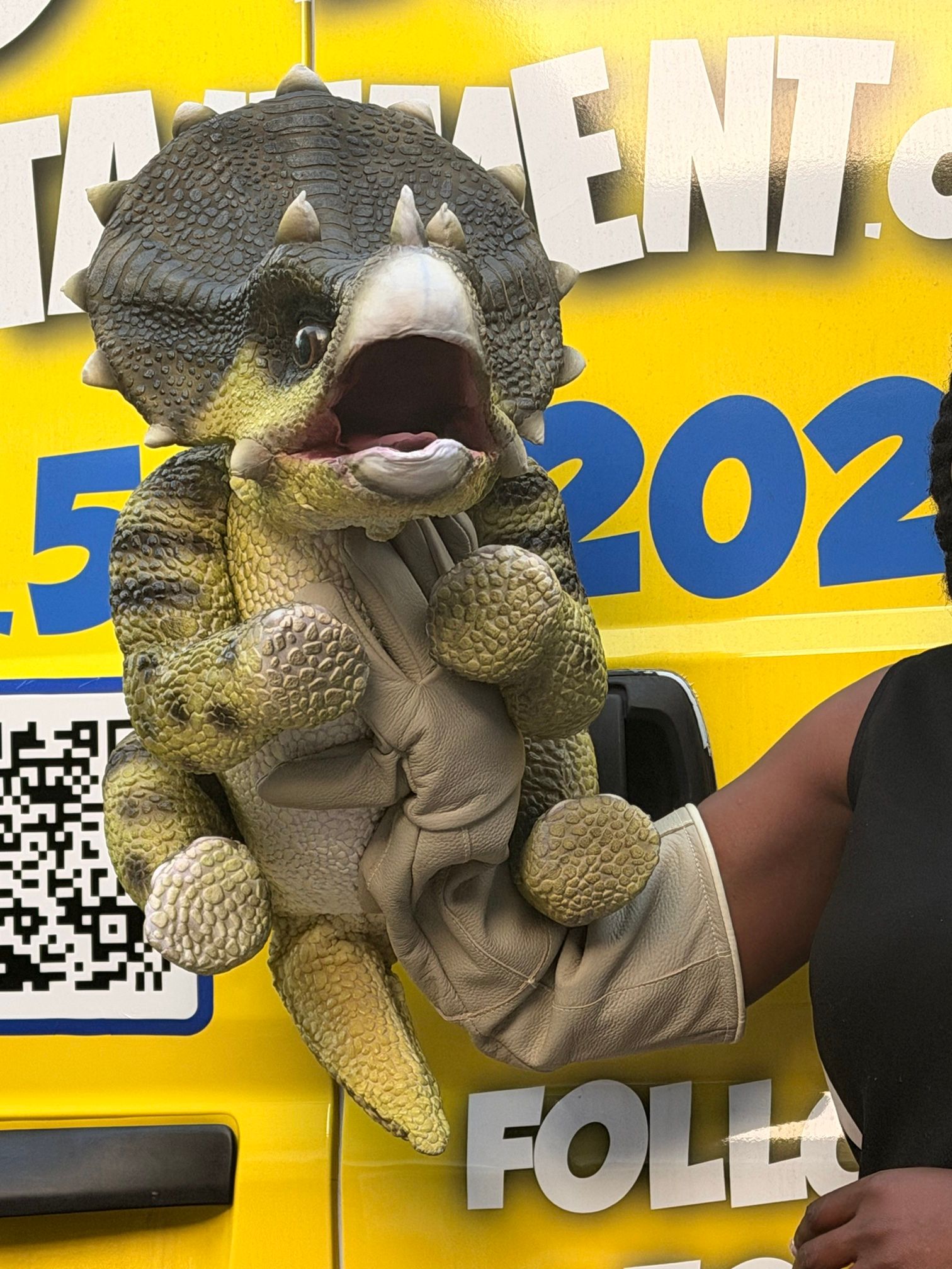 A lifelike baby triceratops with a spiky frill opens its mouth wide