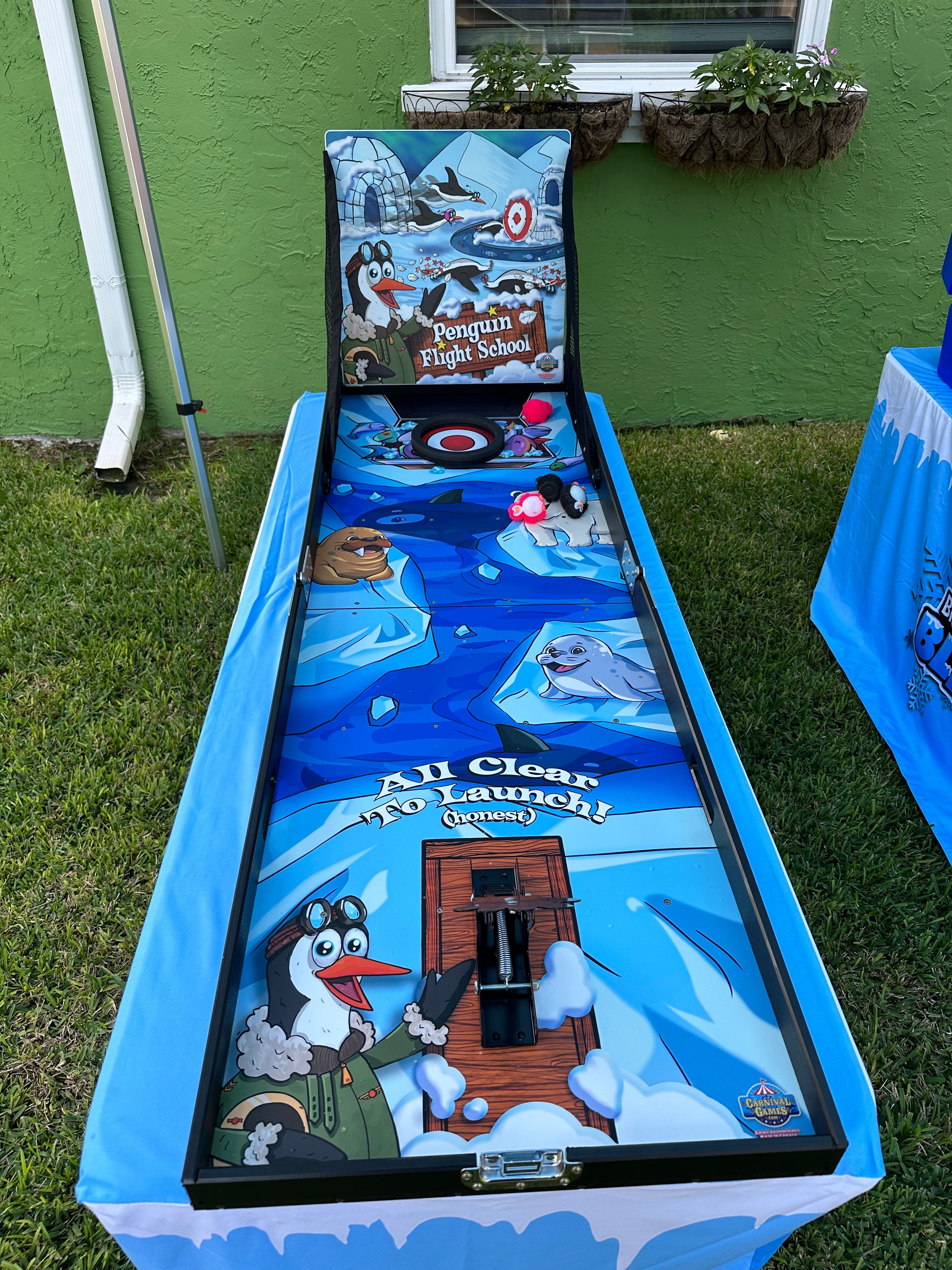 A top-down view of the Penguin Flight School game board