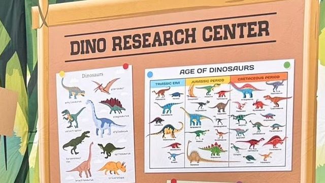 The Dinosaur Adventures research board with a dinosaur identification chart and a Triassic, Jurassic and Cretaceous period chart
