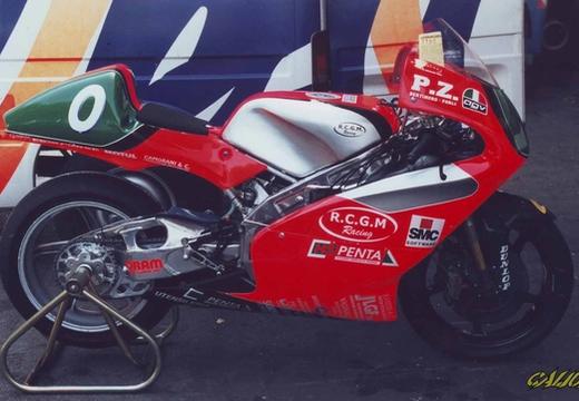 Aprilia RSV 250 cc Con forcellone Geminiani di Cristian Caliumi