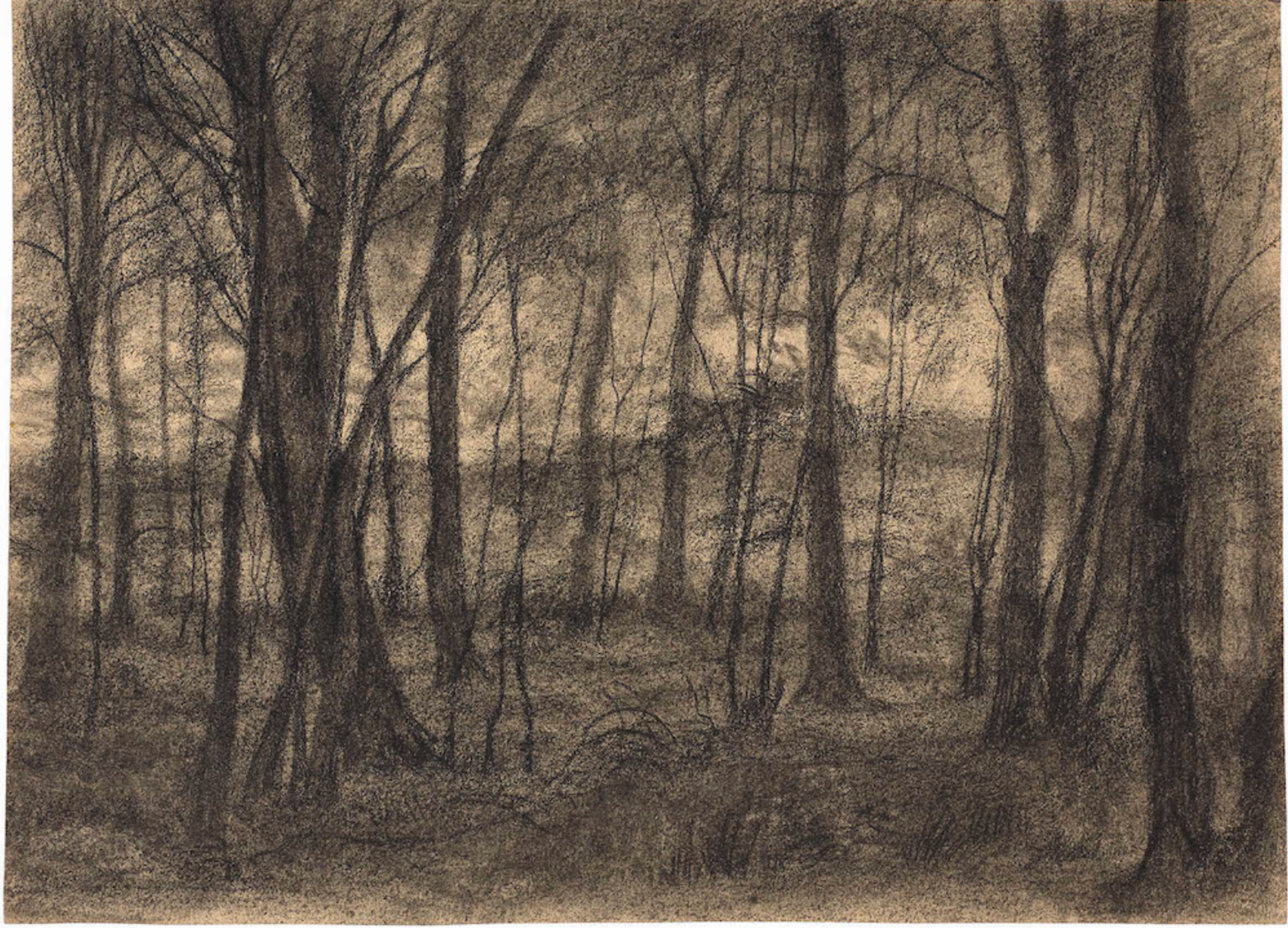 Vente — Félix Bracquemond, Sous-bois