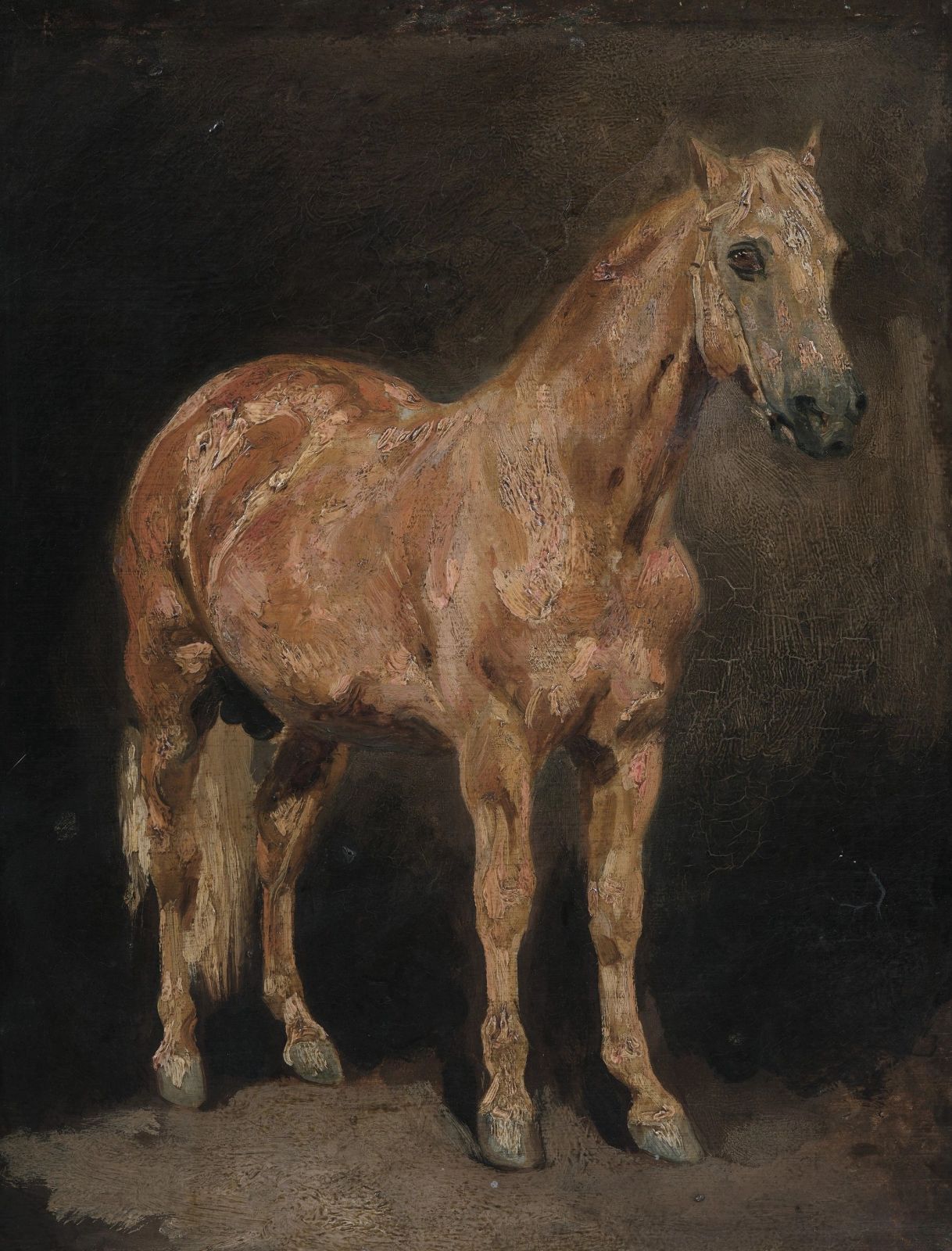Eugène Delacroix, Étude d’un étalon alezan doré