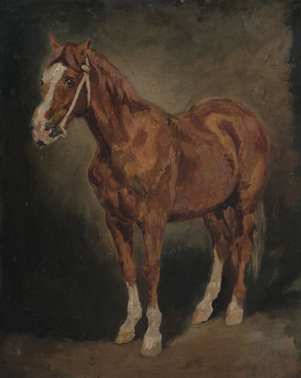 Eugène Delacroix, Étude d’un étalon alezan