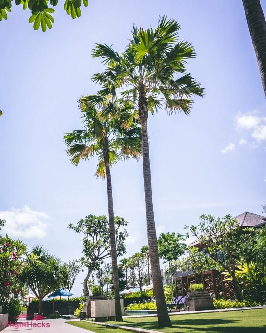Indigo Bali