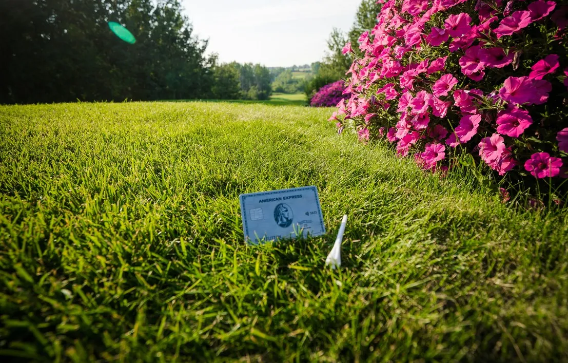 Platinum is Amex's premium flagship Membership Rewards Card
