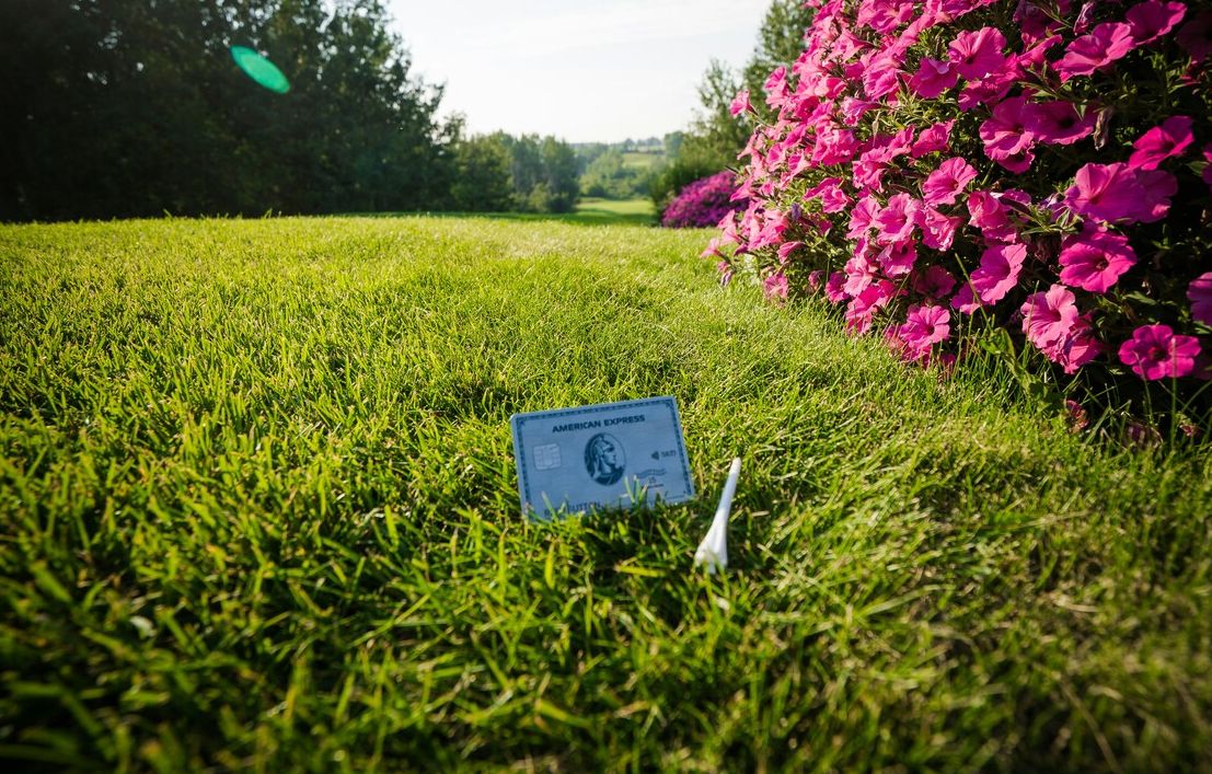 Platinum is Amex's premium flagship Membership Rewards Card