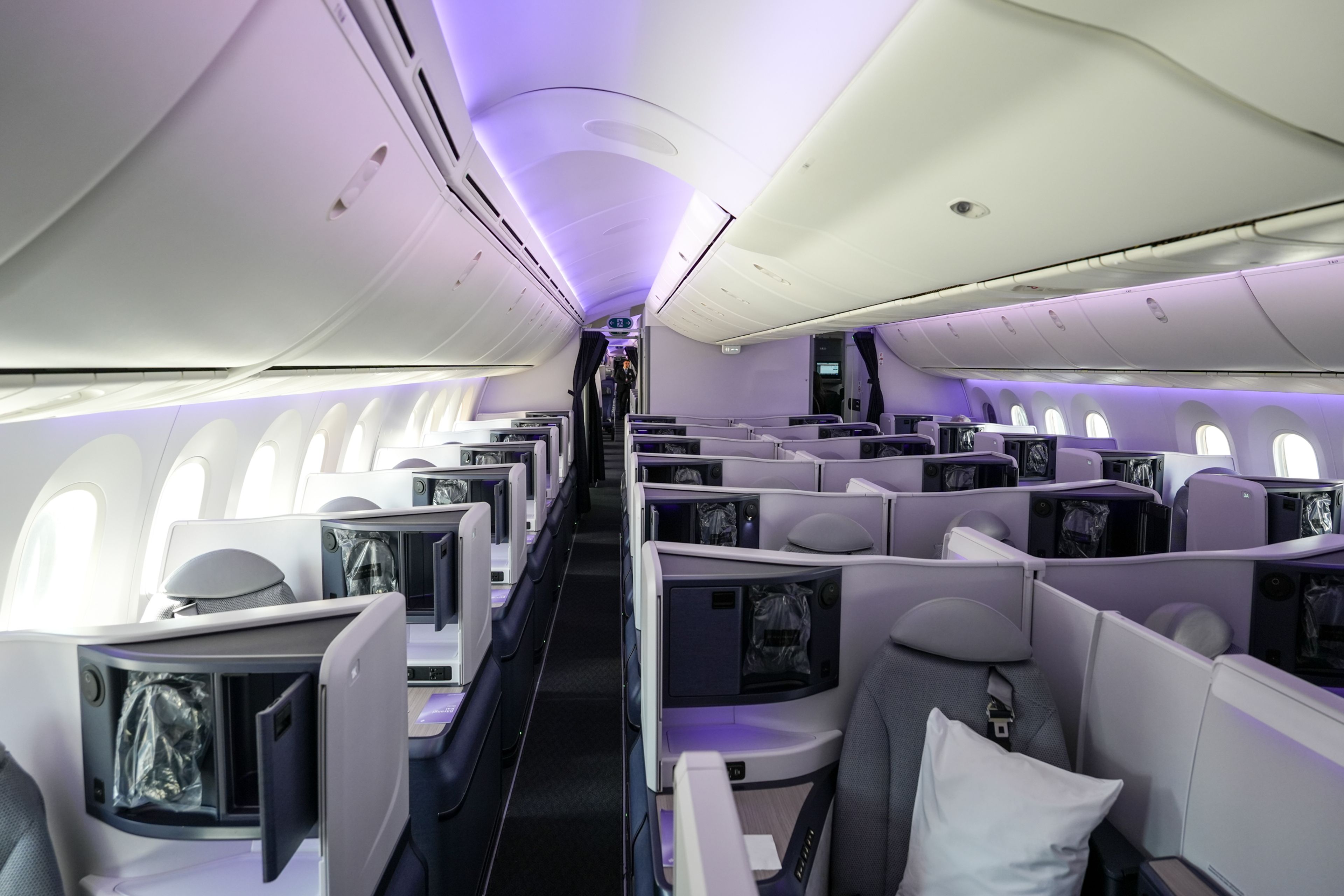 Air New Zealand B787 Business Class Review
