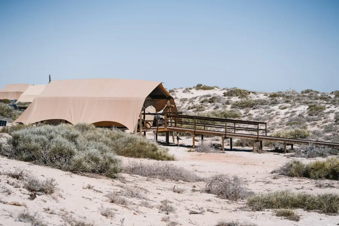 Luxury Glamping At Sal Salis Ningaloo Reef
