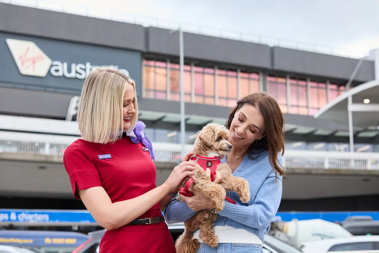 Virgin Australia Launches First Pets-Friendly Flights In Australia