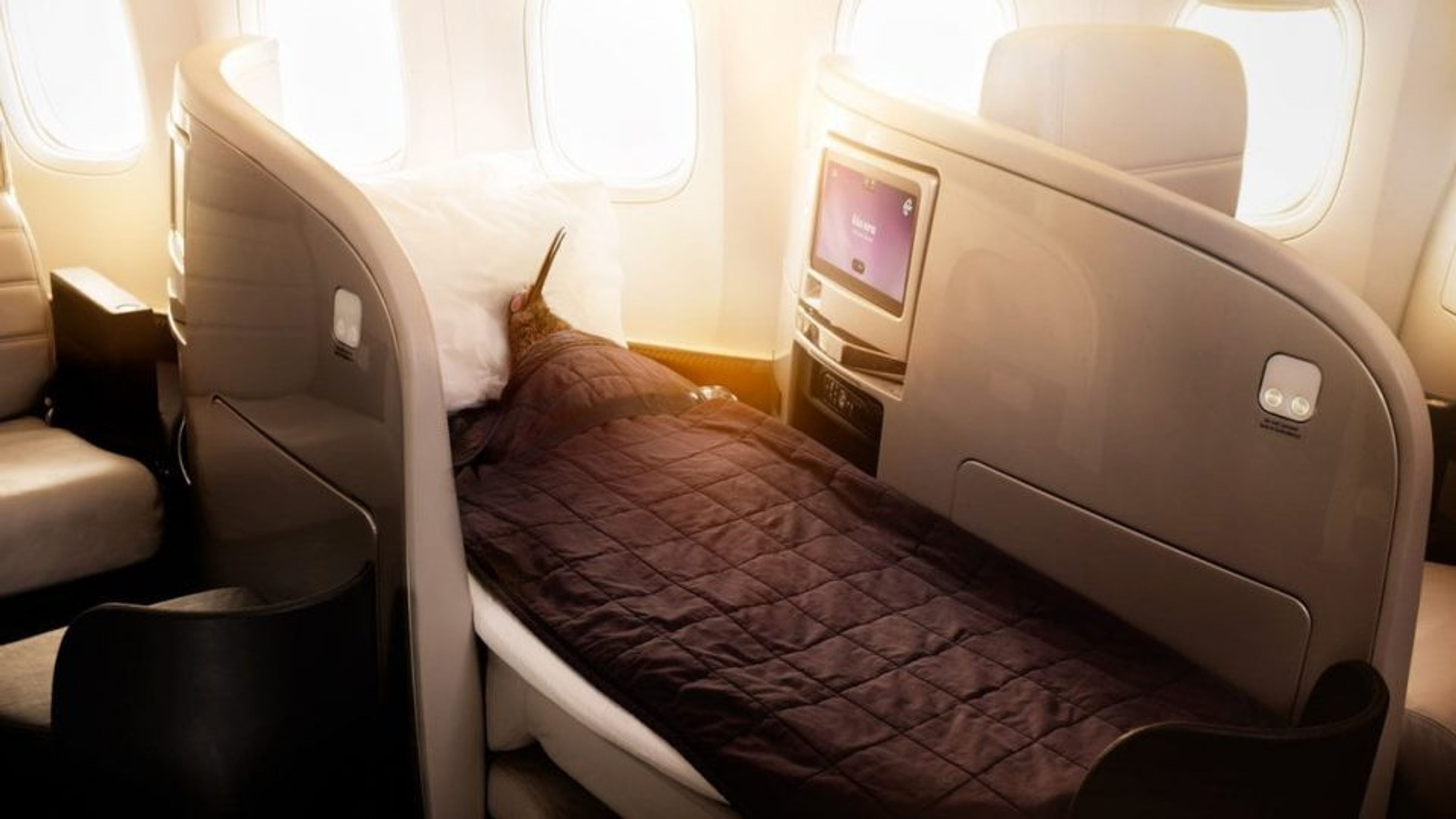 Air New Zealand Business Class Deal