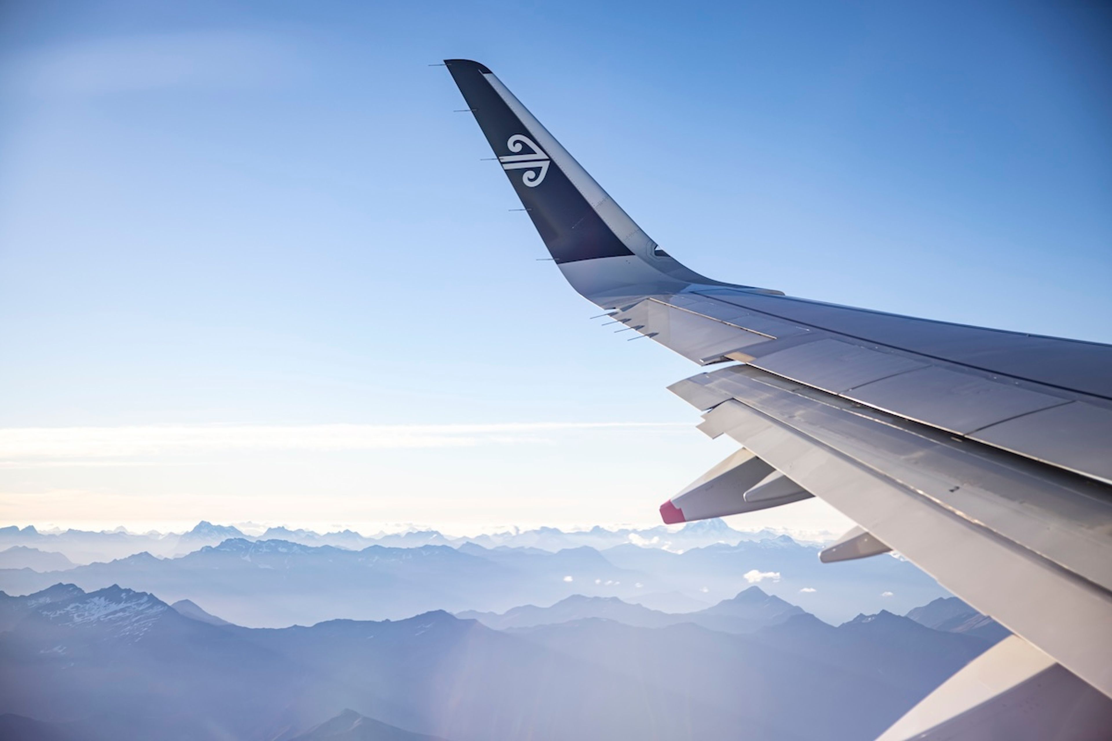 Air New Zealand Wing