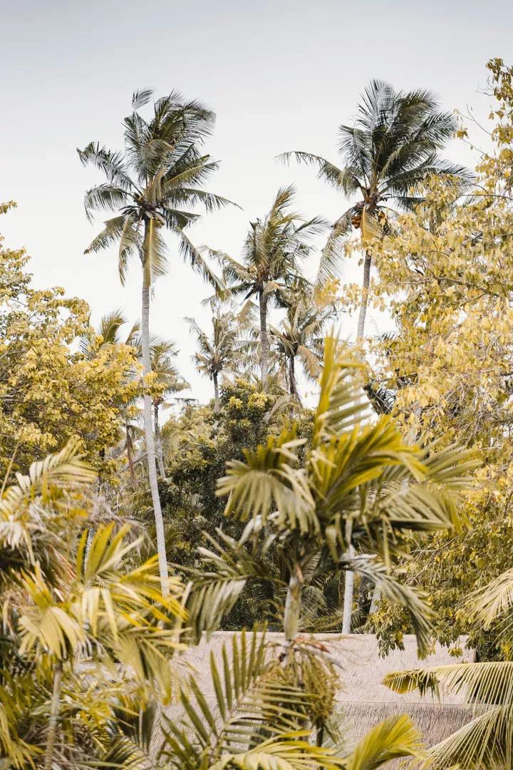 Hyatt Regency Sanur Bali