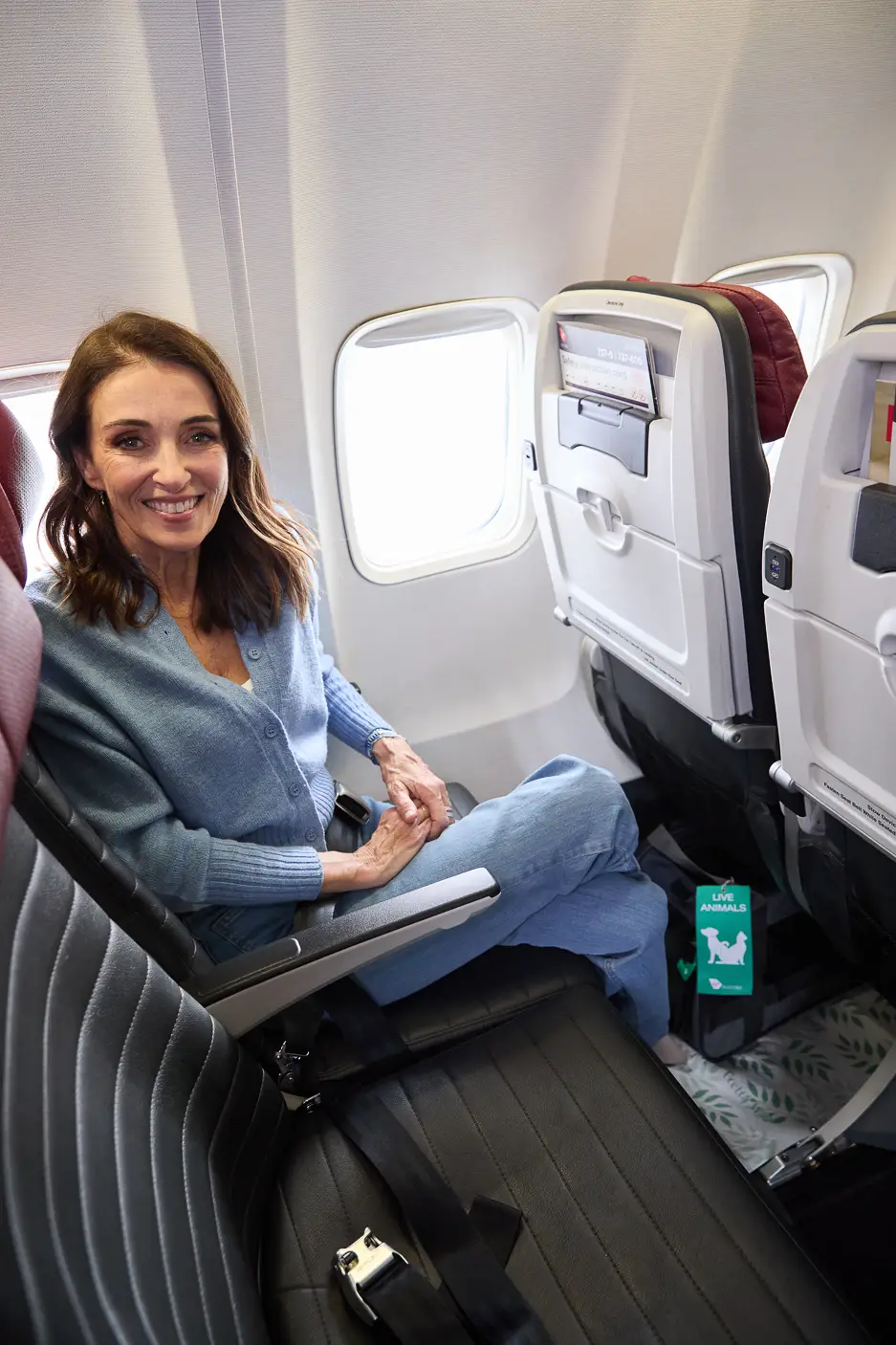 Virgin Australia Pets In Cabin Guide