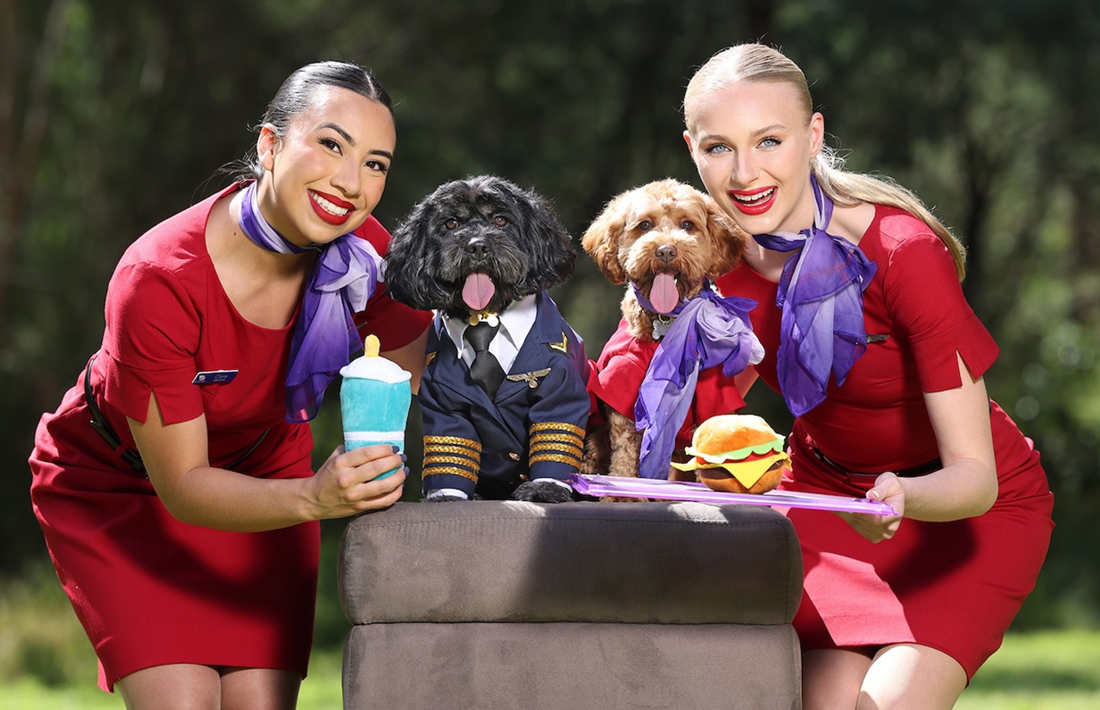 Earning Velocity Points On Medibank Pet Insurance