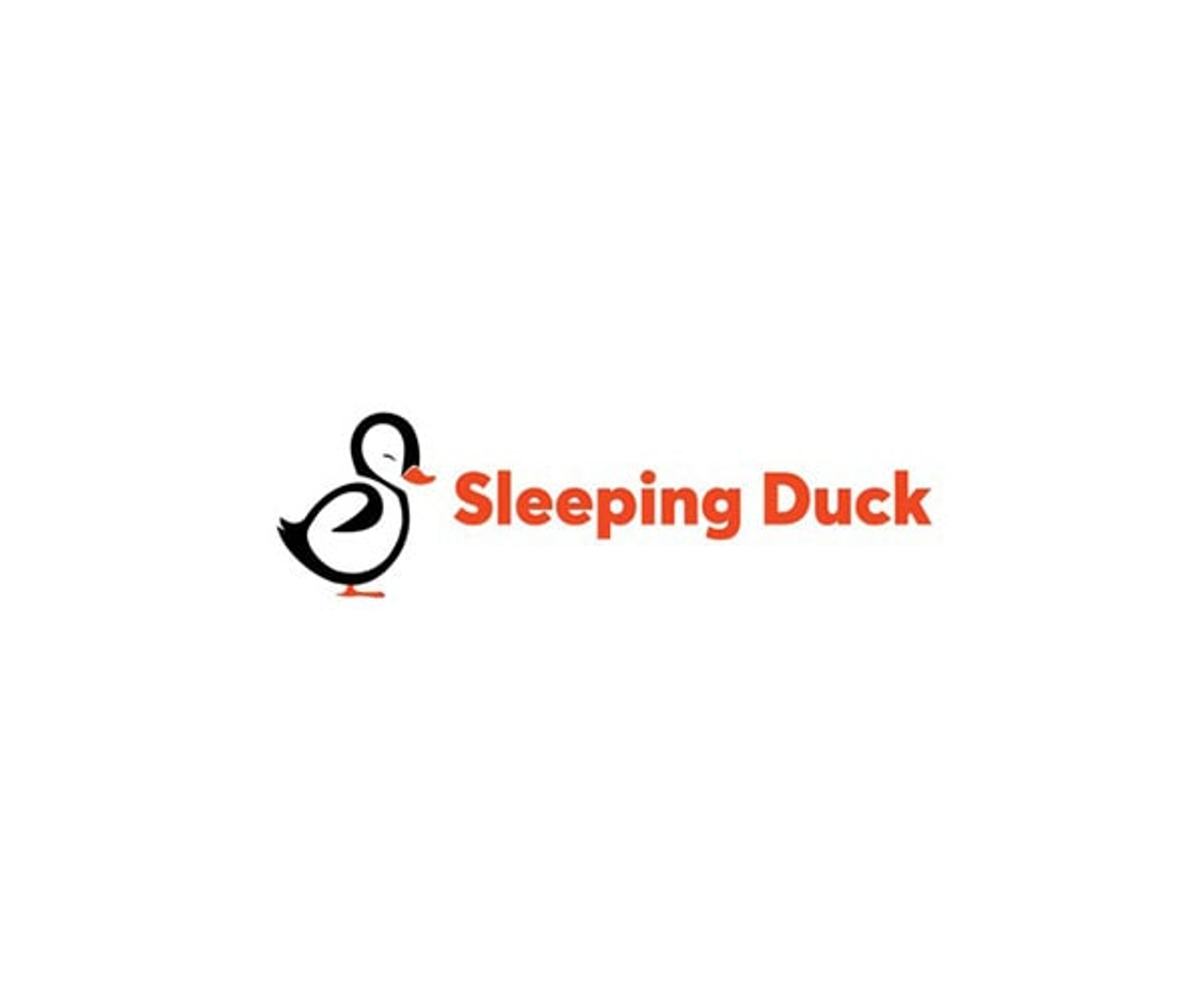 Sleeping Duck