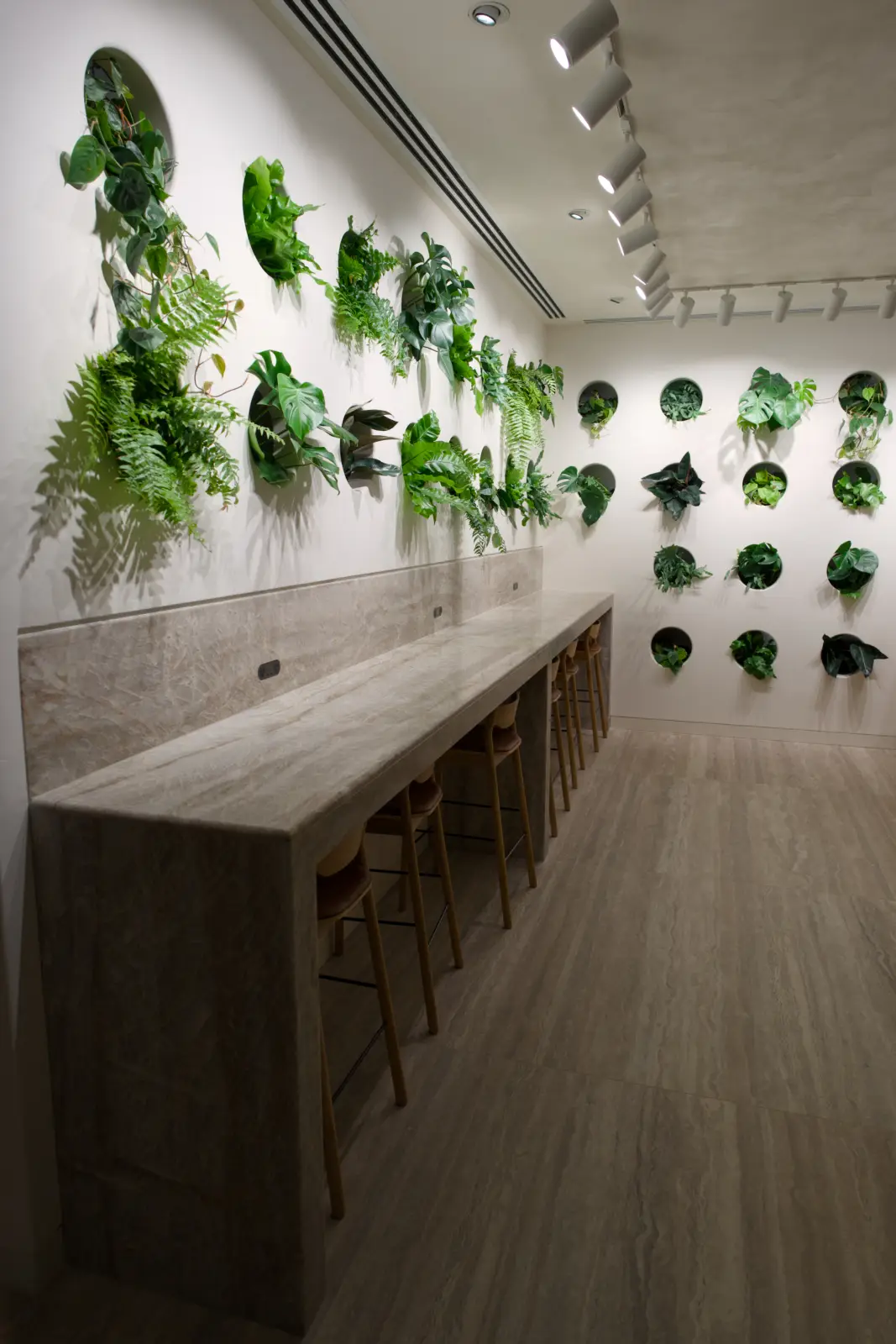 Qantas Auckland International Lounge