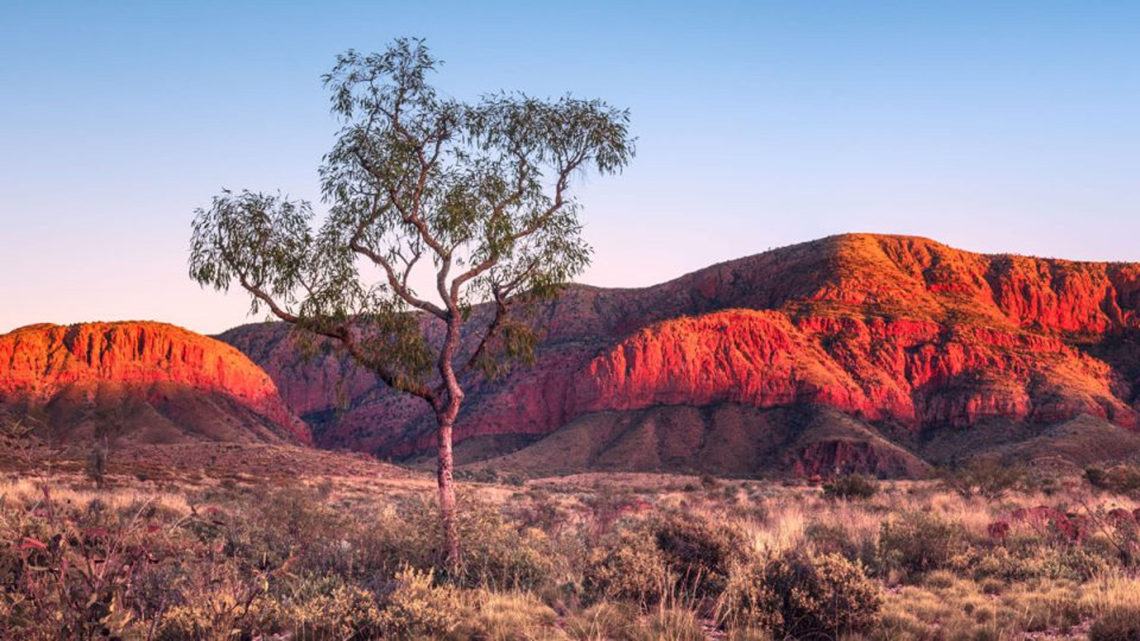 Half Price Flights For Australia - Here's Where You Can Go