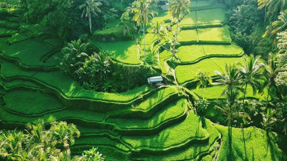 Quarantine Free Bali Visa On Arrival Is Back - Here's How It Works