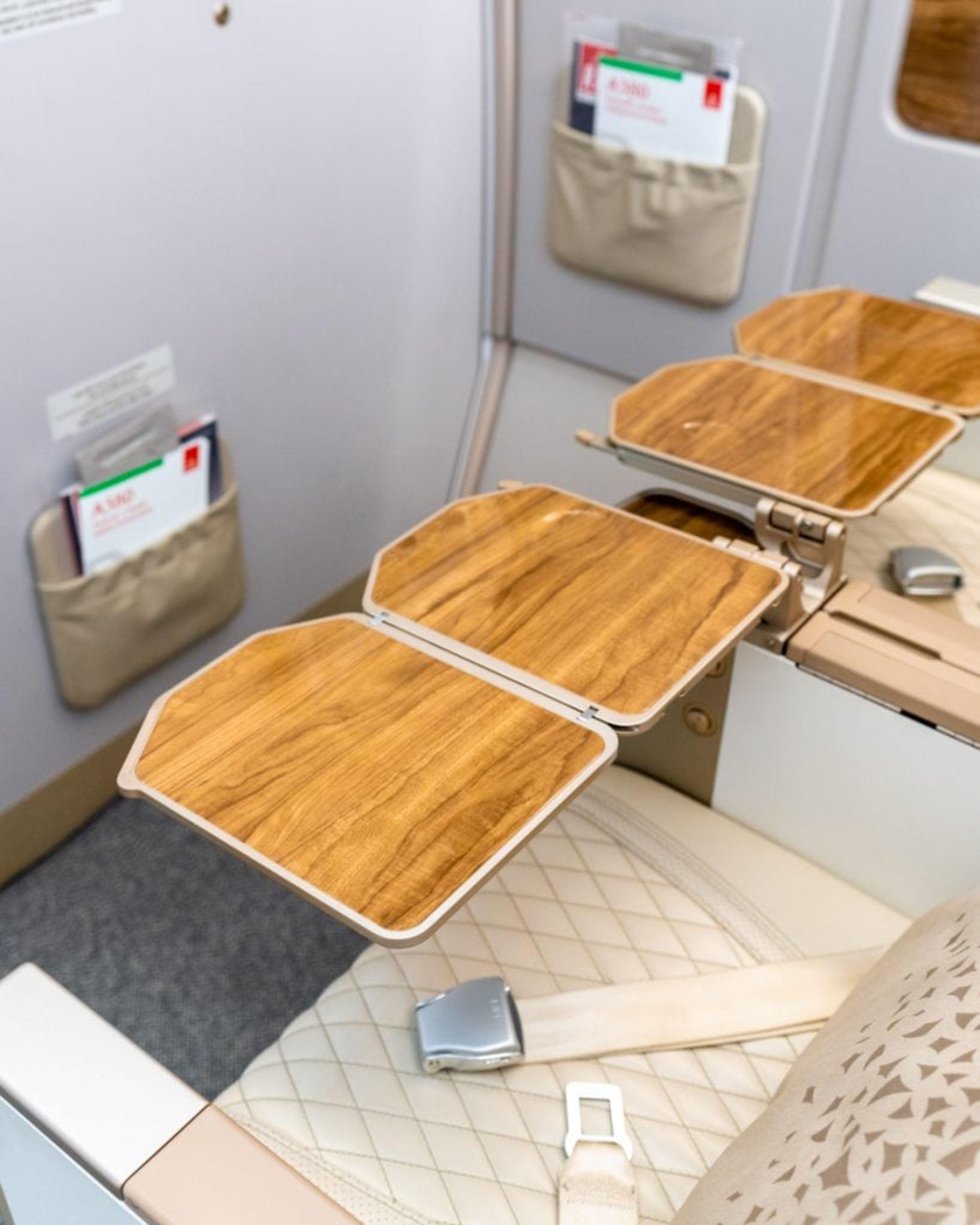 Emirates Premium Economy 6