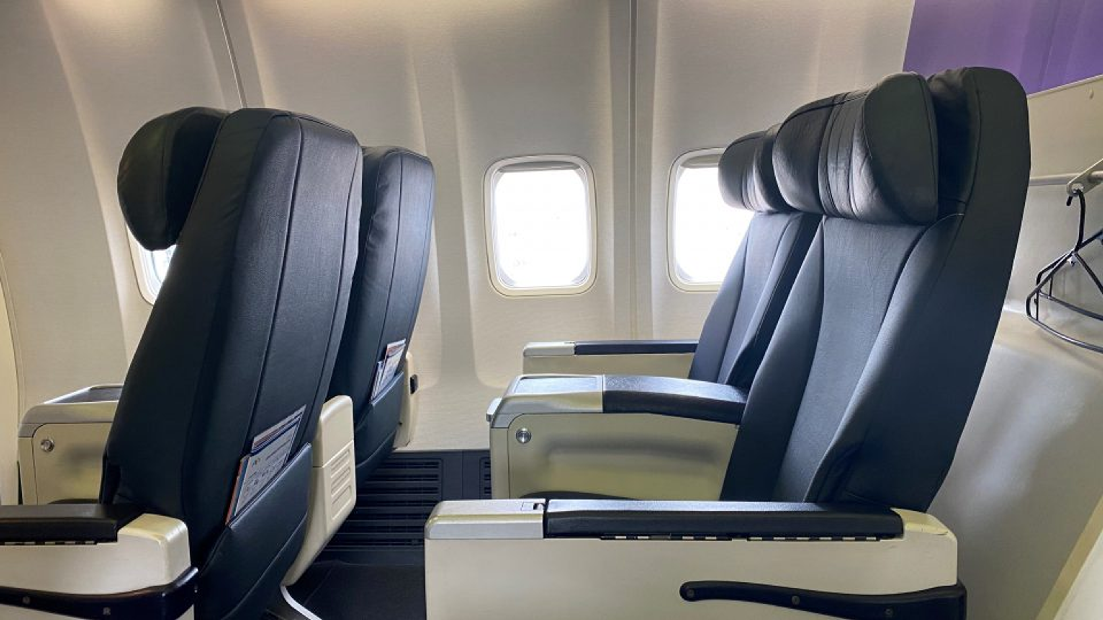 Rex Boeing 737 Business Class Review