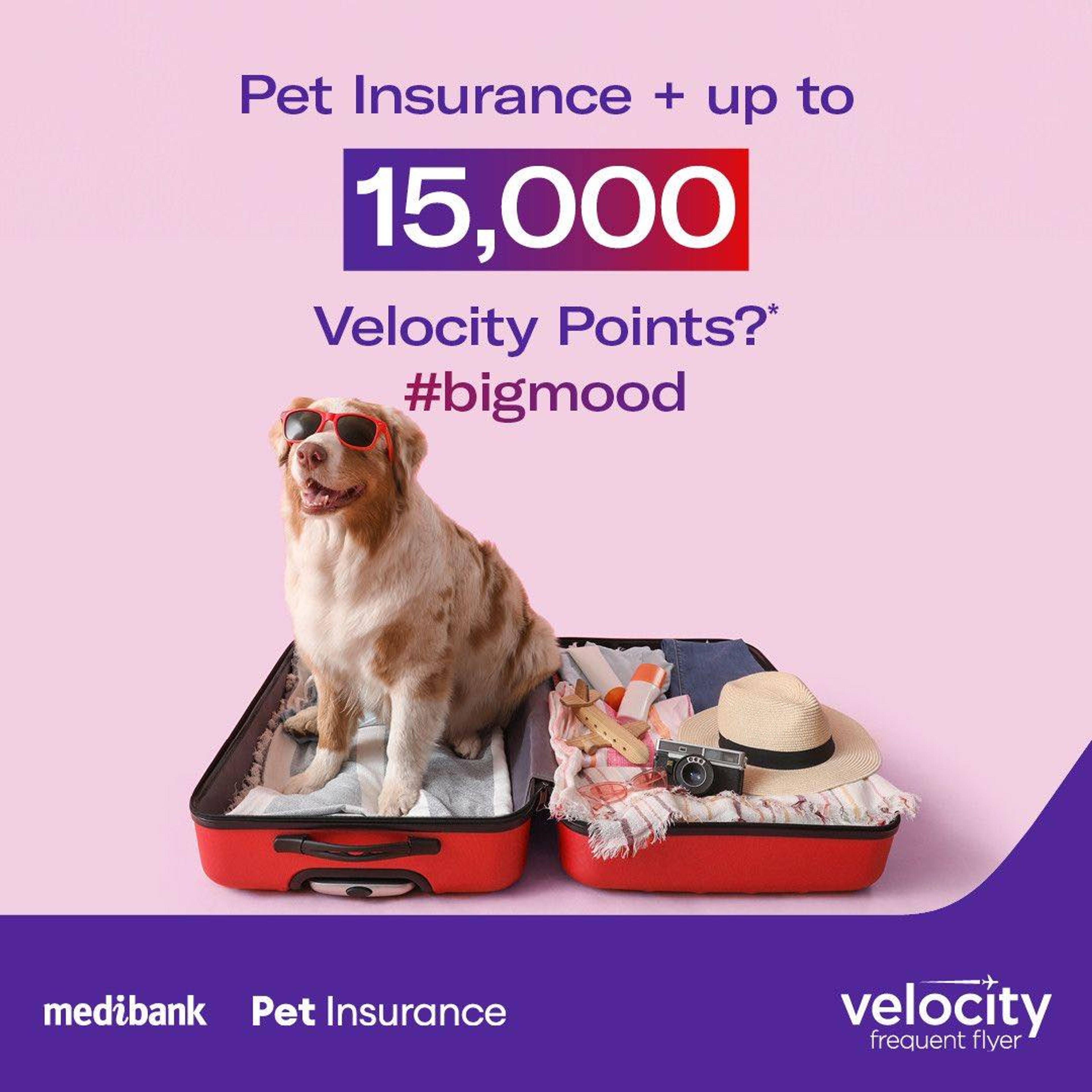 Medibank Velocity Pet Insurance 15K